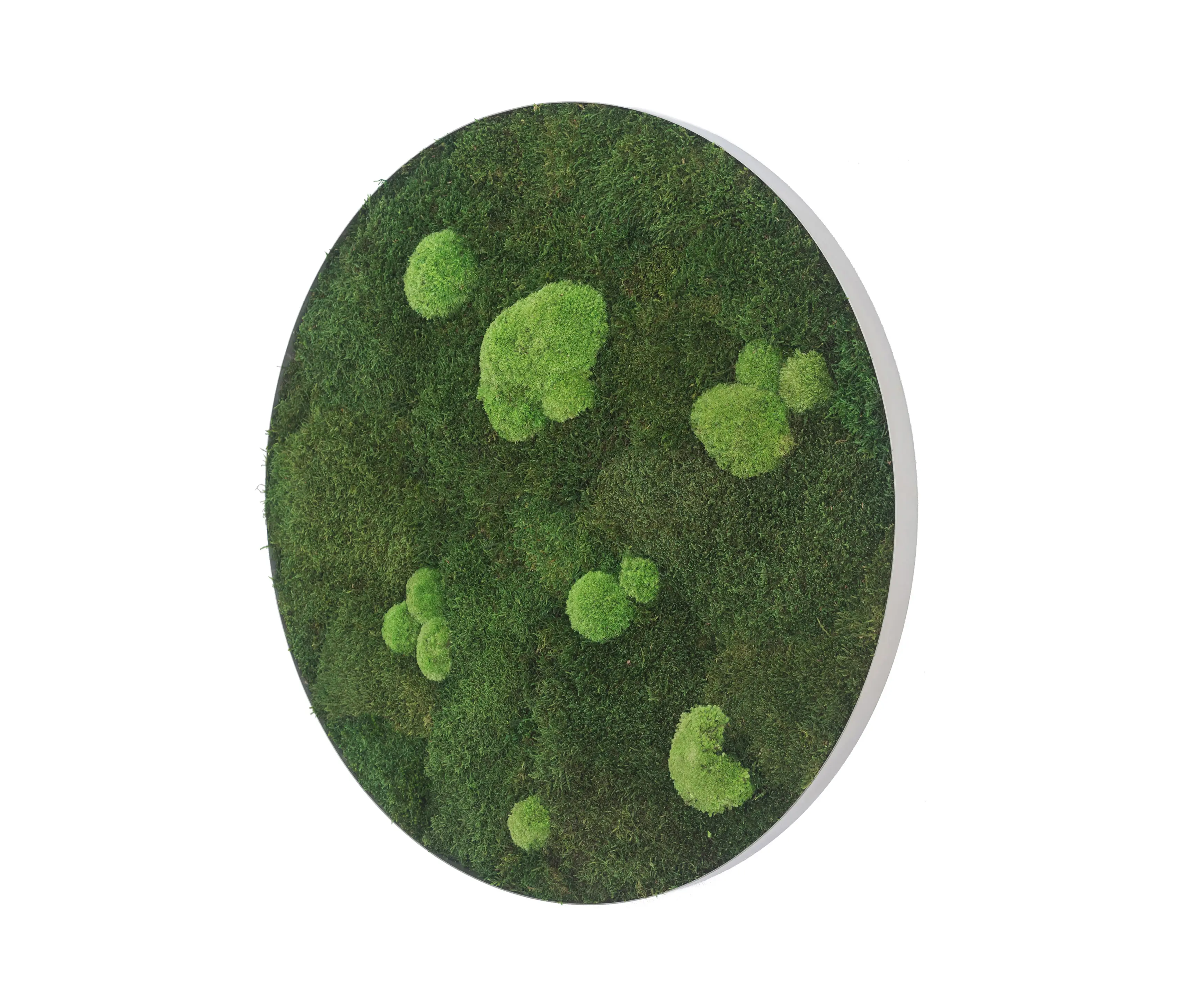 styleGREEN - circle | forest and pole moss 54cm