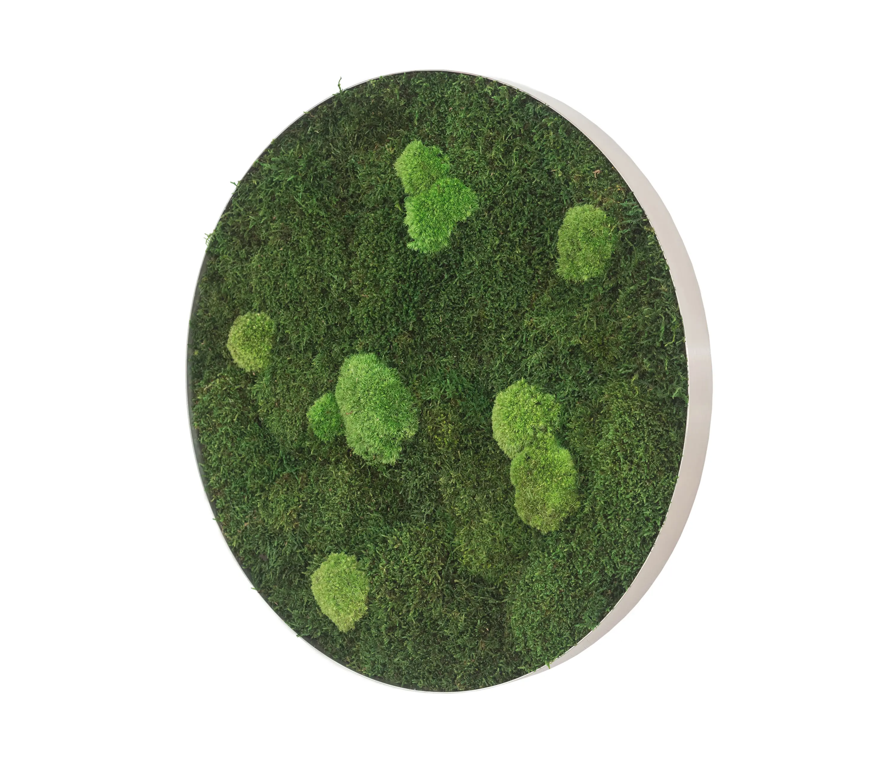styleGREEN - circle | forest and pole moss 80cm