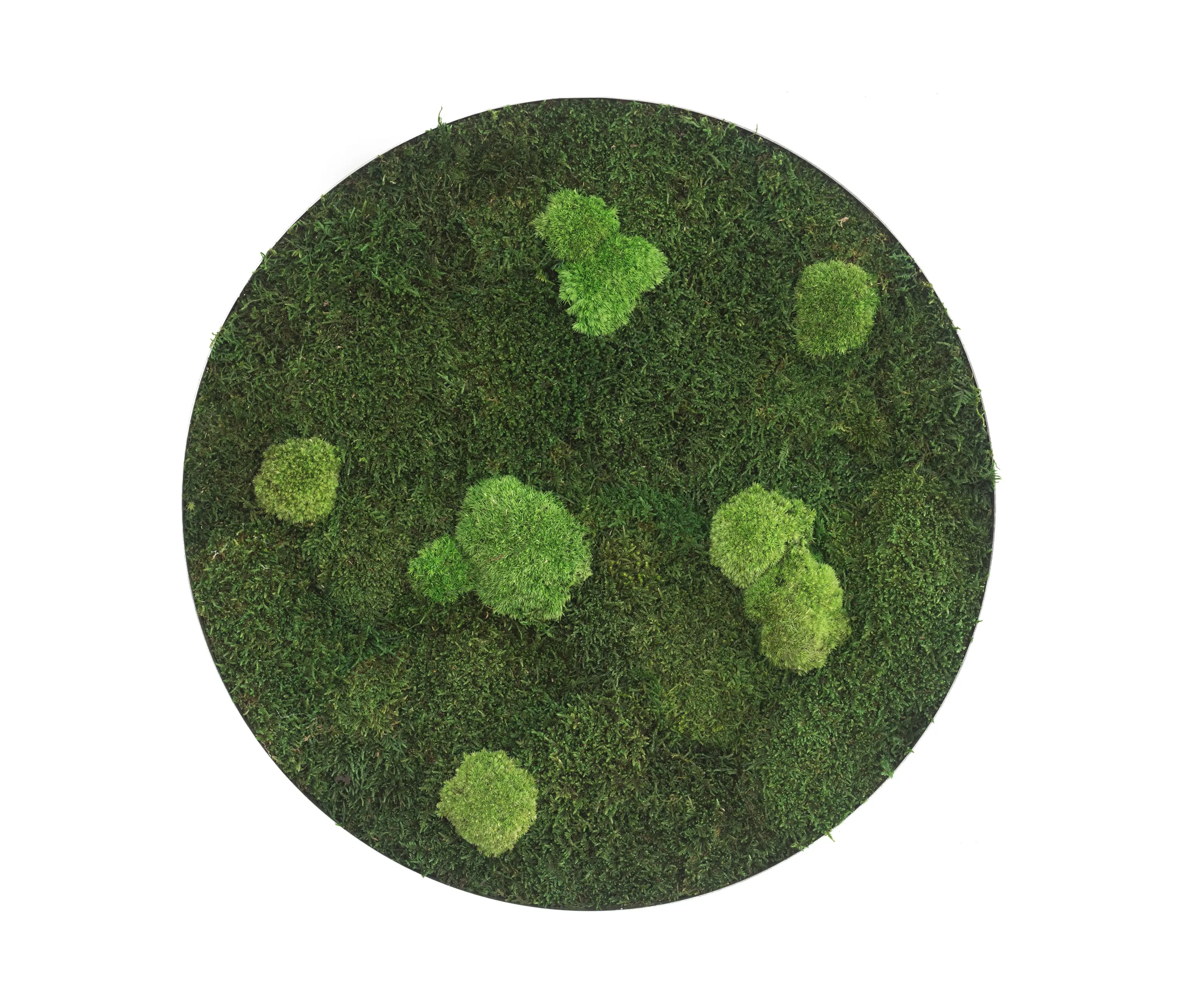 styleGREEN - circle | forest and pole moss 80cm
