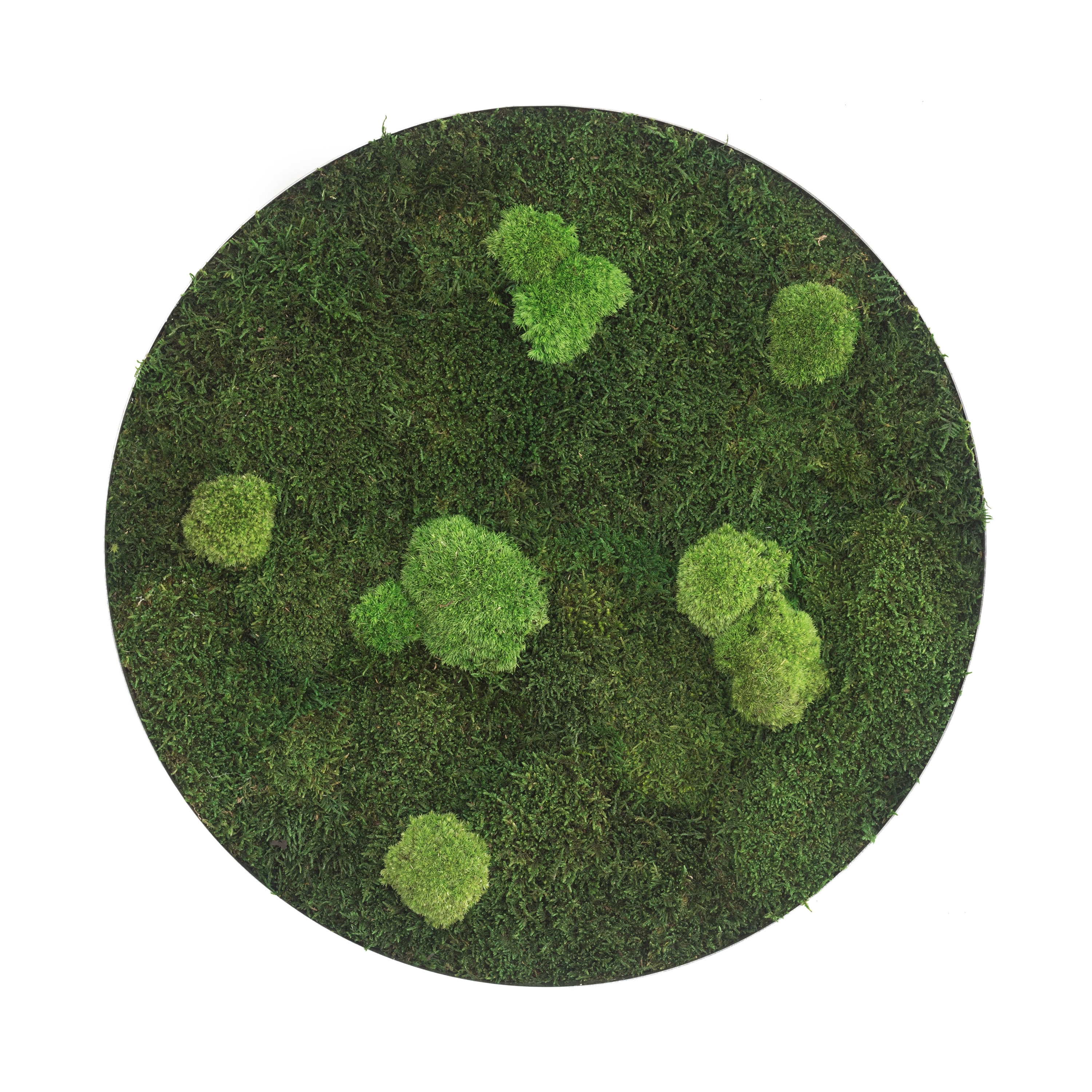 Display product circle | forest and pole moss 80cm from manufacturer styleGREEN