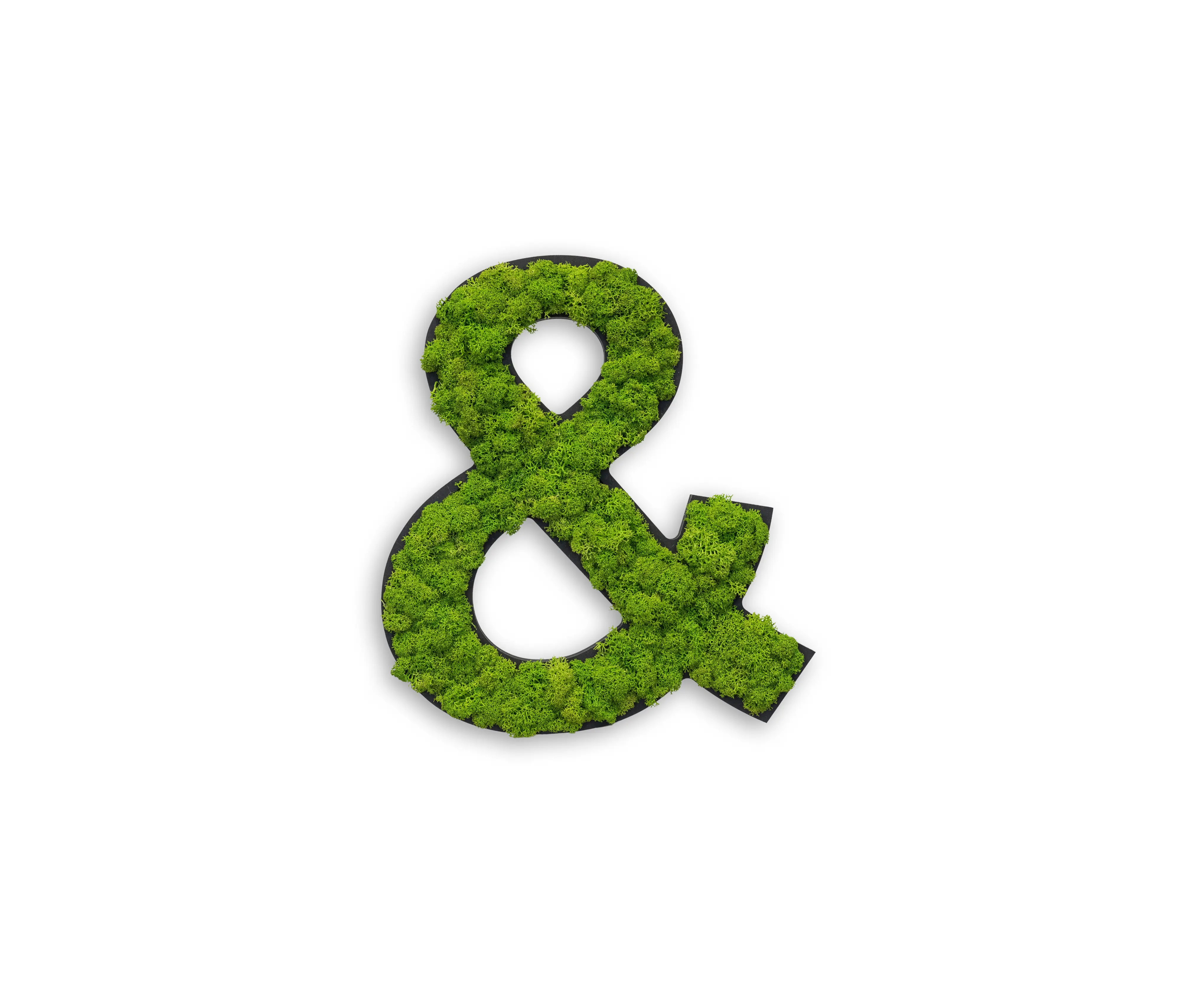 styleGREEN - pictogram | special characters with moss