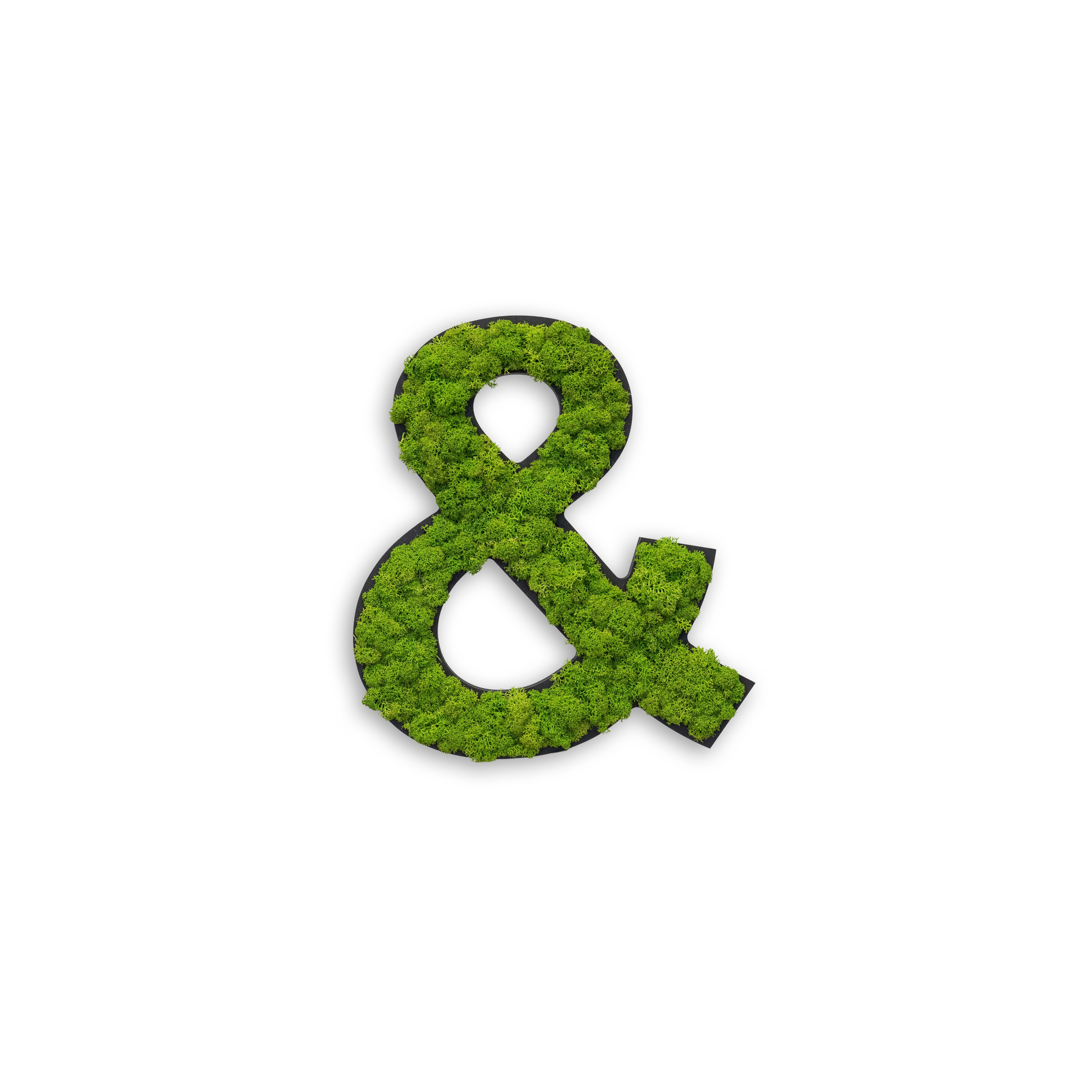 Mostra il prodotto pictogram | special characters with moss del produttore styleGREEN