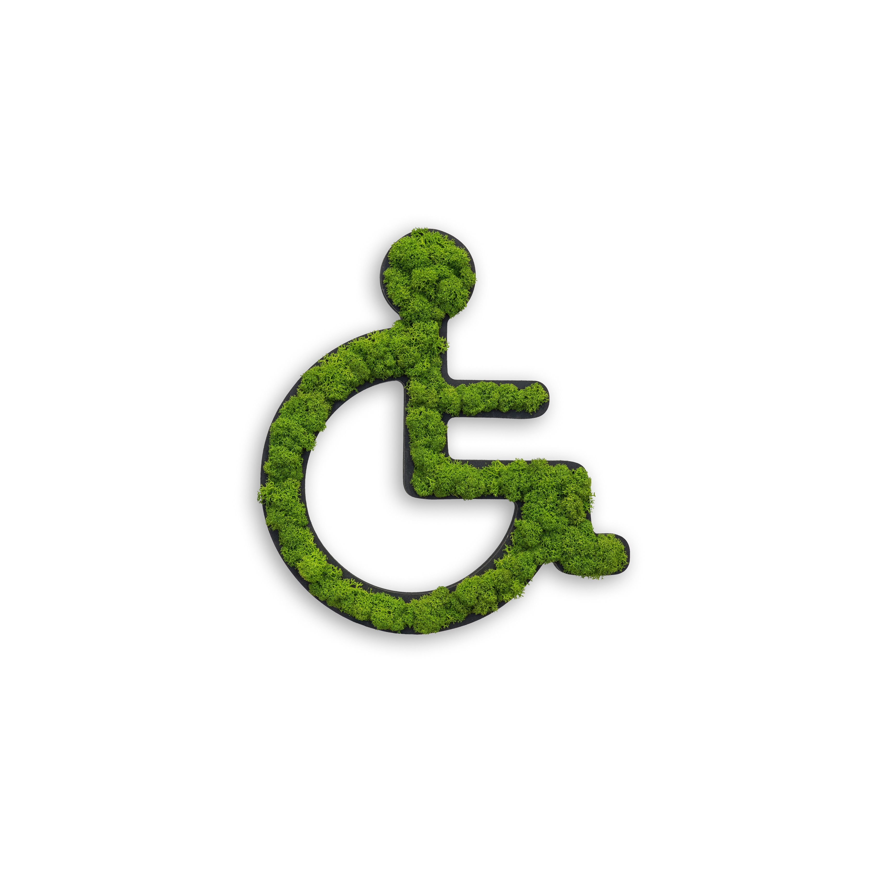 Mostra il prodotto pictogram | toilet sign „wheelchair“ 25 cm del produttore styleGREEN