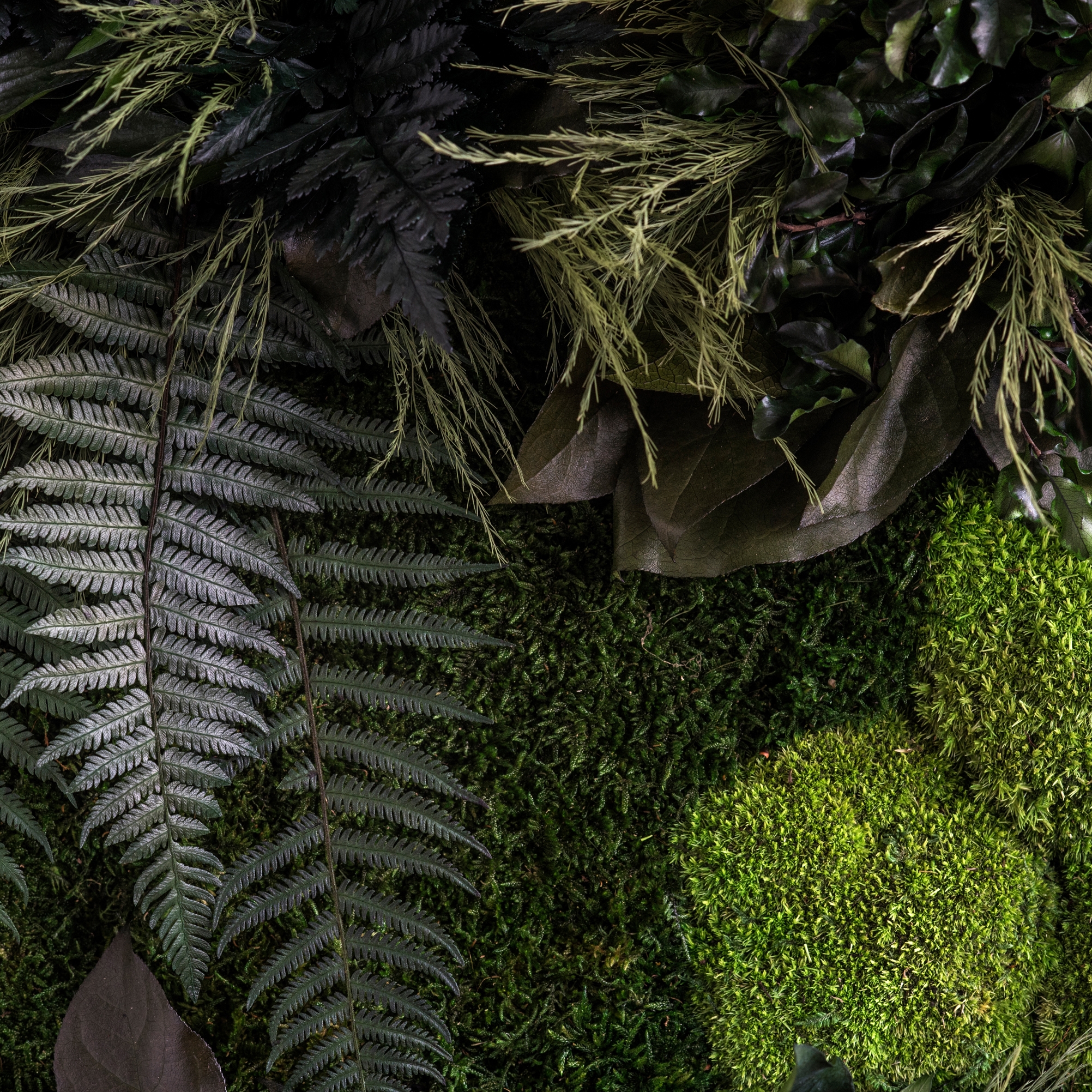Display product individual | greening plant Island from manufacturer styleGREEN