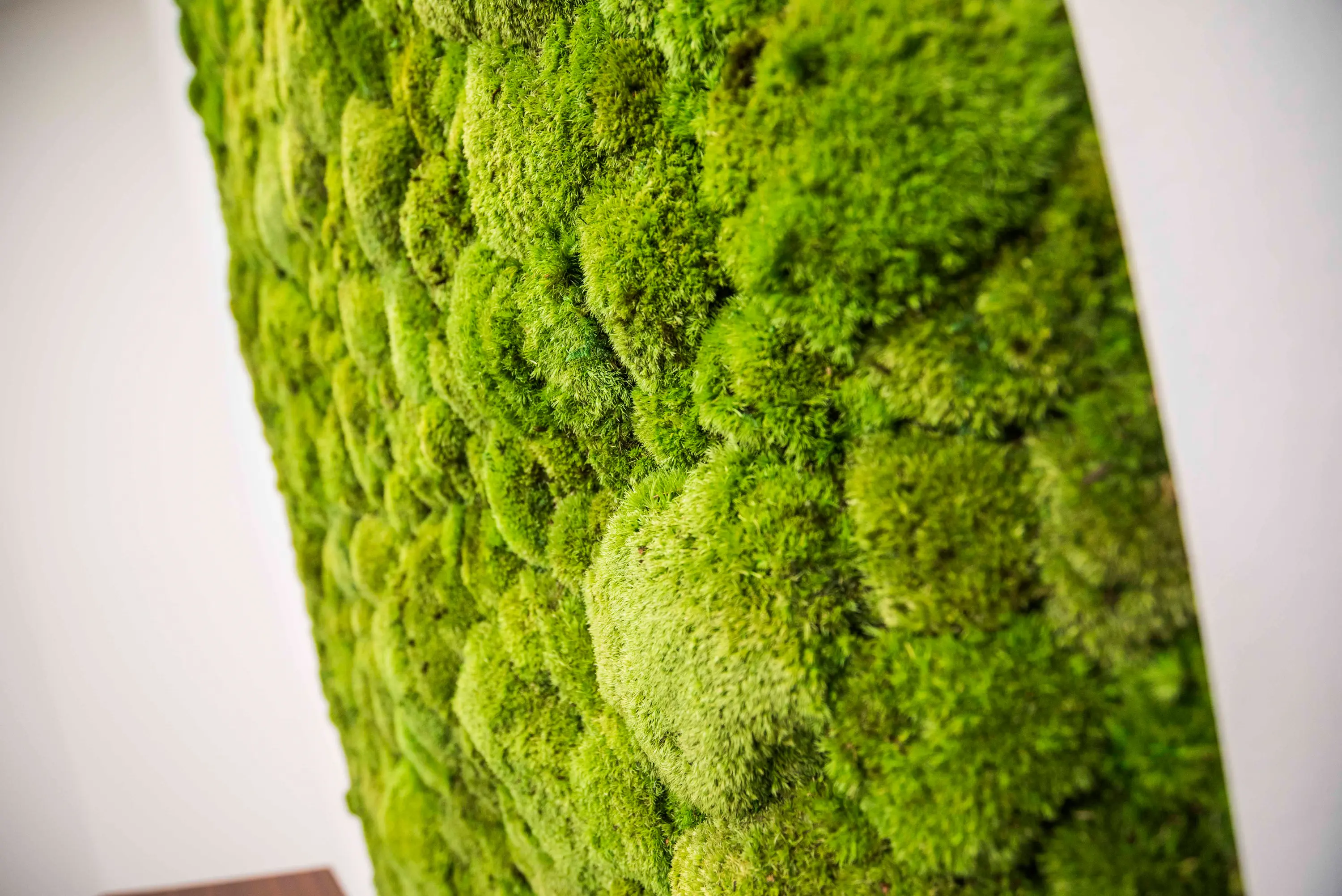 styleGREEN - individual | greening pole moss