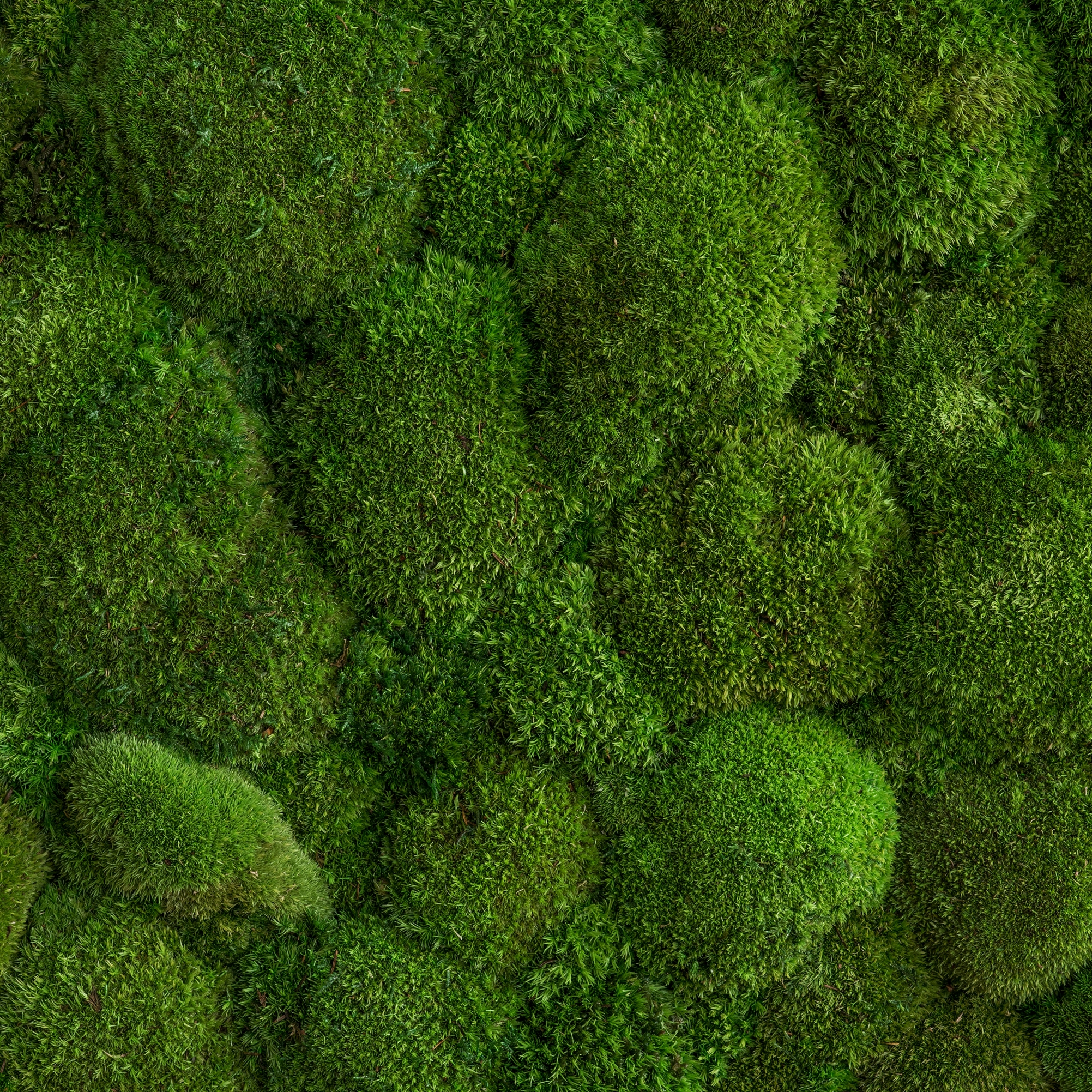 Display product individual | greening pole moss from manufacturer styleGREEN