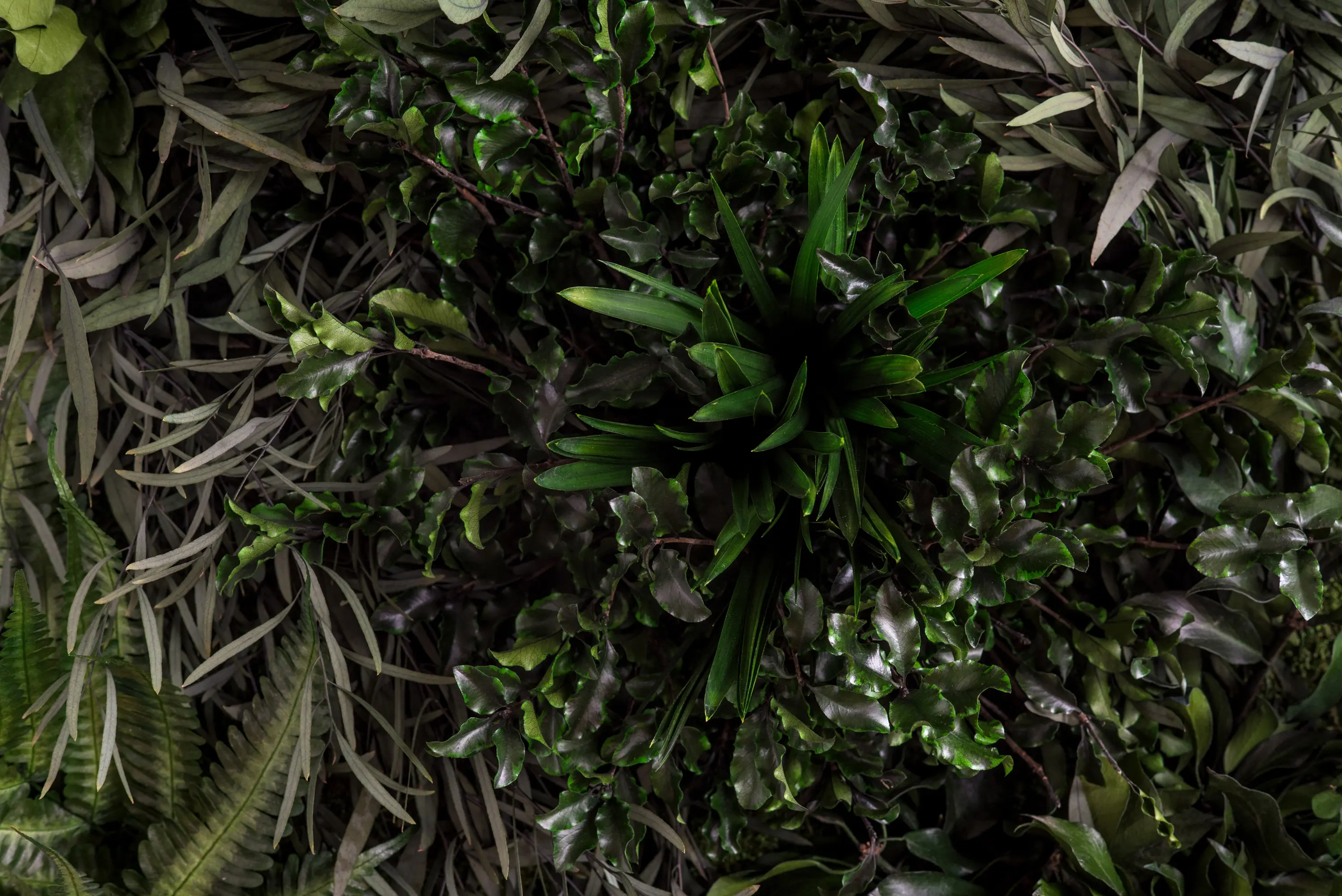 styleGREEN - individual | greening jungle