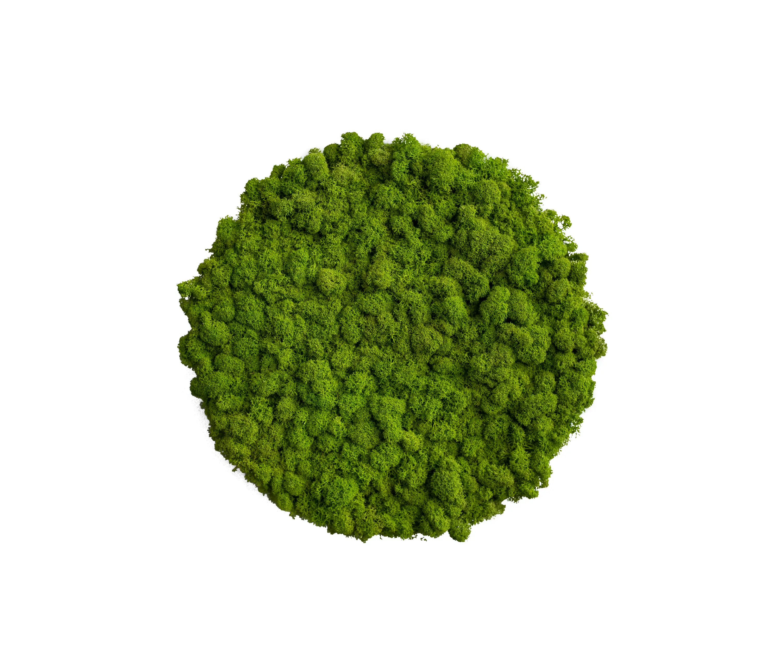 styleGREEN - circle | reindeer moss 34cm