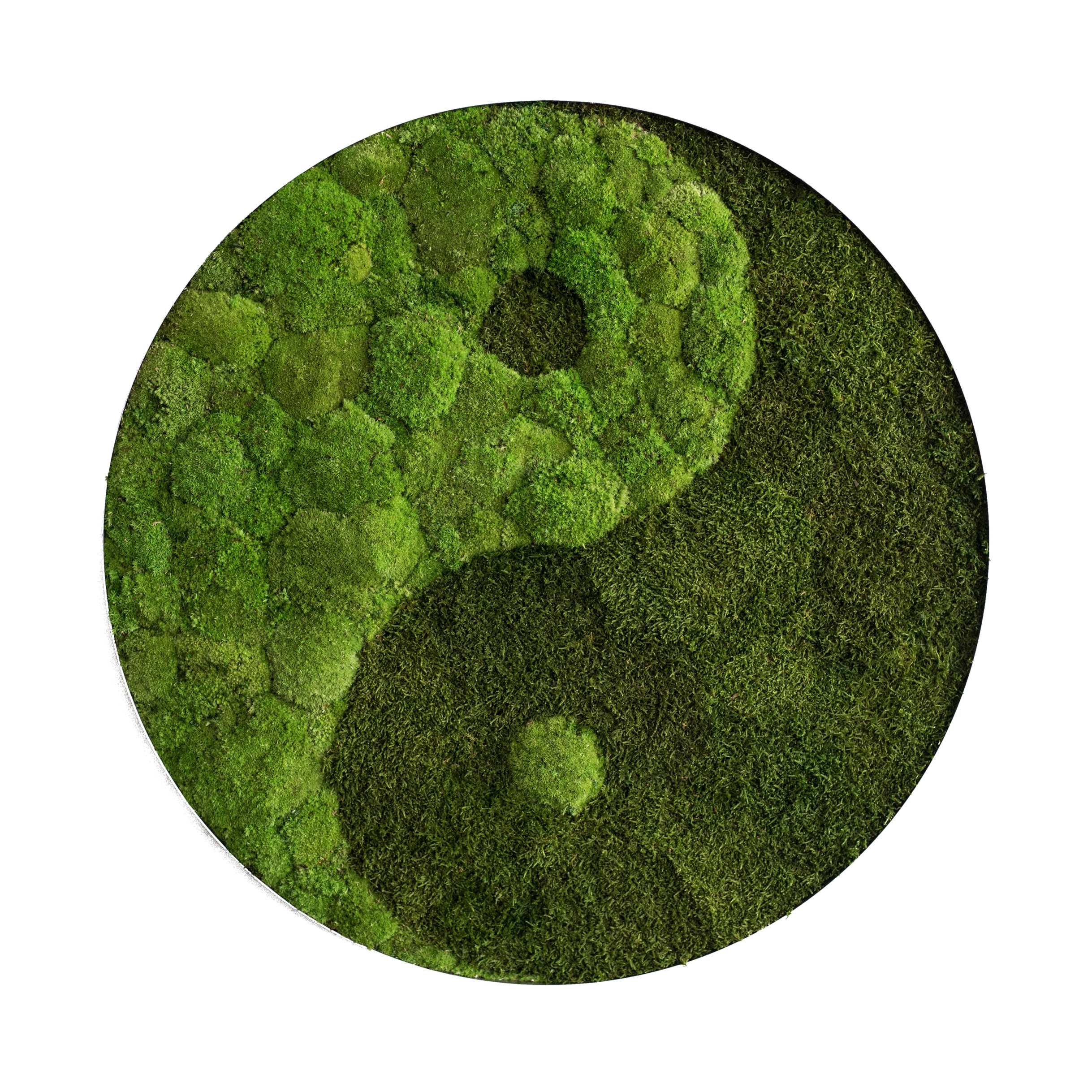 Display product Circle | Pole moss yin and yang 80cm from manufacturer styleGREEN