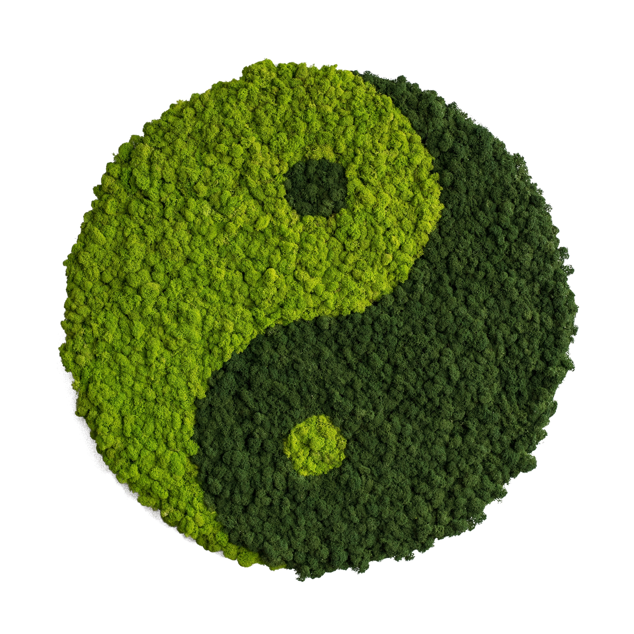 Display product Circle | Reindeer moss yin and yang 80cm from manufacturer styleGREEN