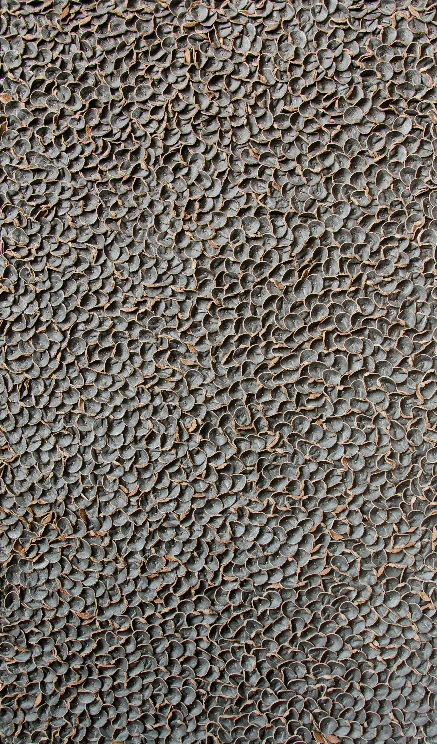 Pintark - Perus | Foliage