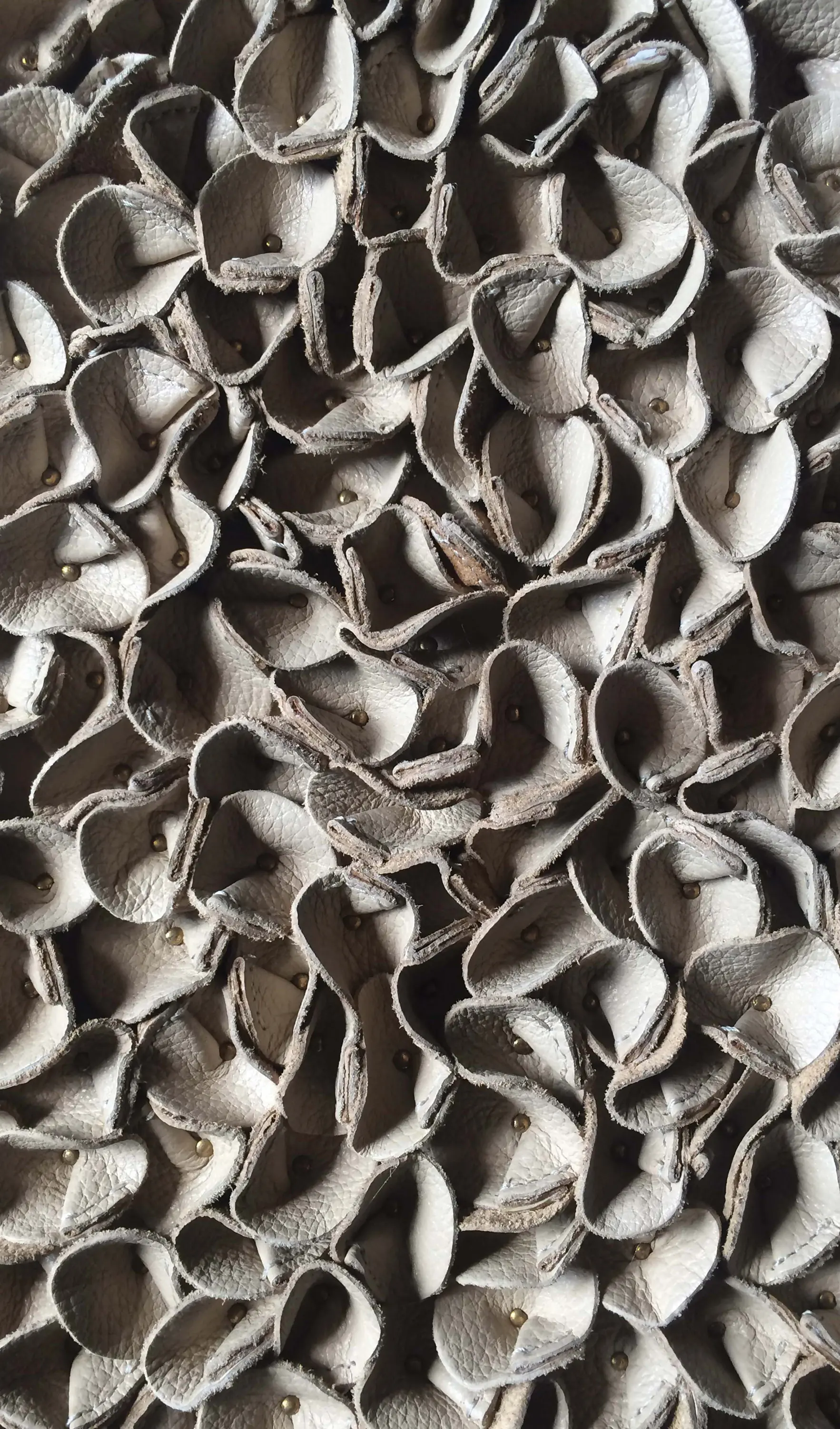 Pintark - Perus | Foliage