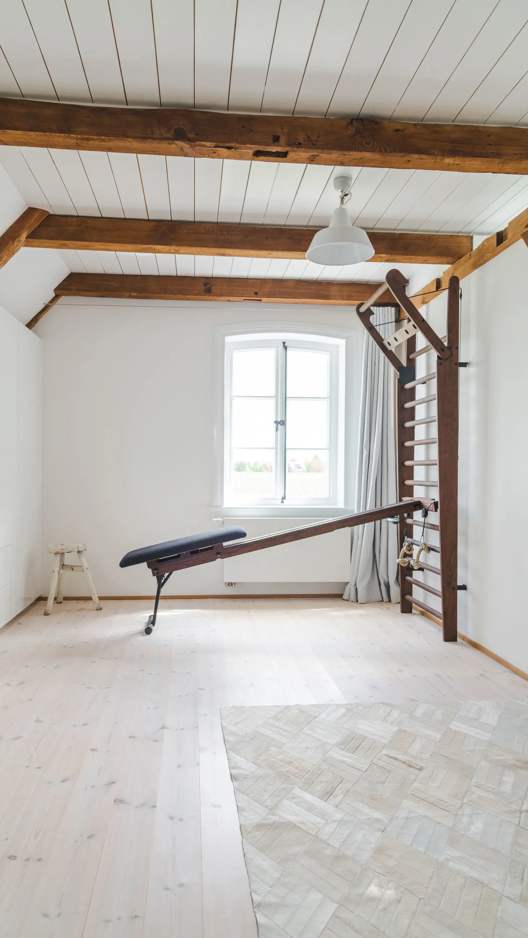 WATERROWER | NOHRD - WallBars CombiTrainer