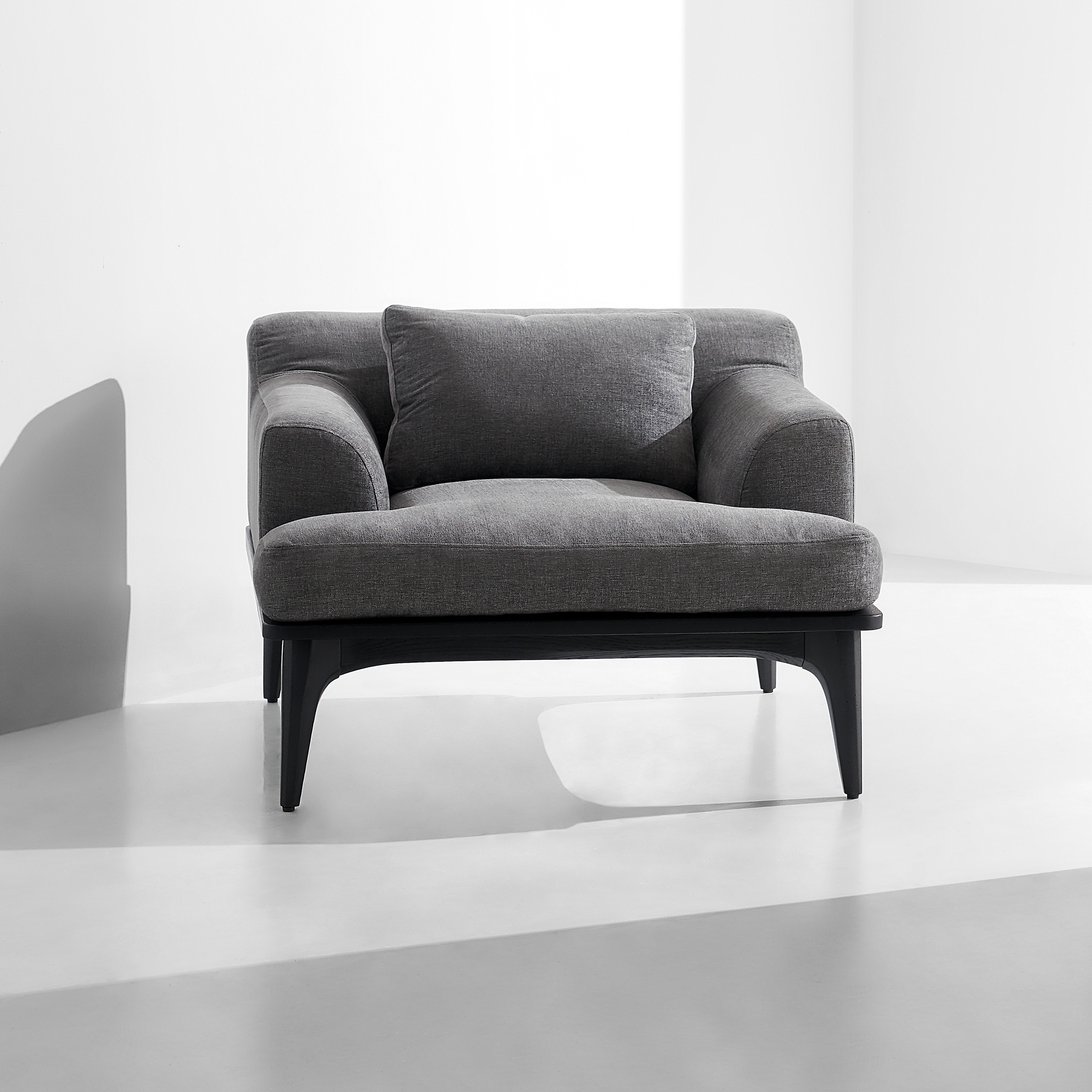 Display product Salk Armchair from manufacturer District Eight