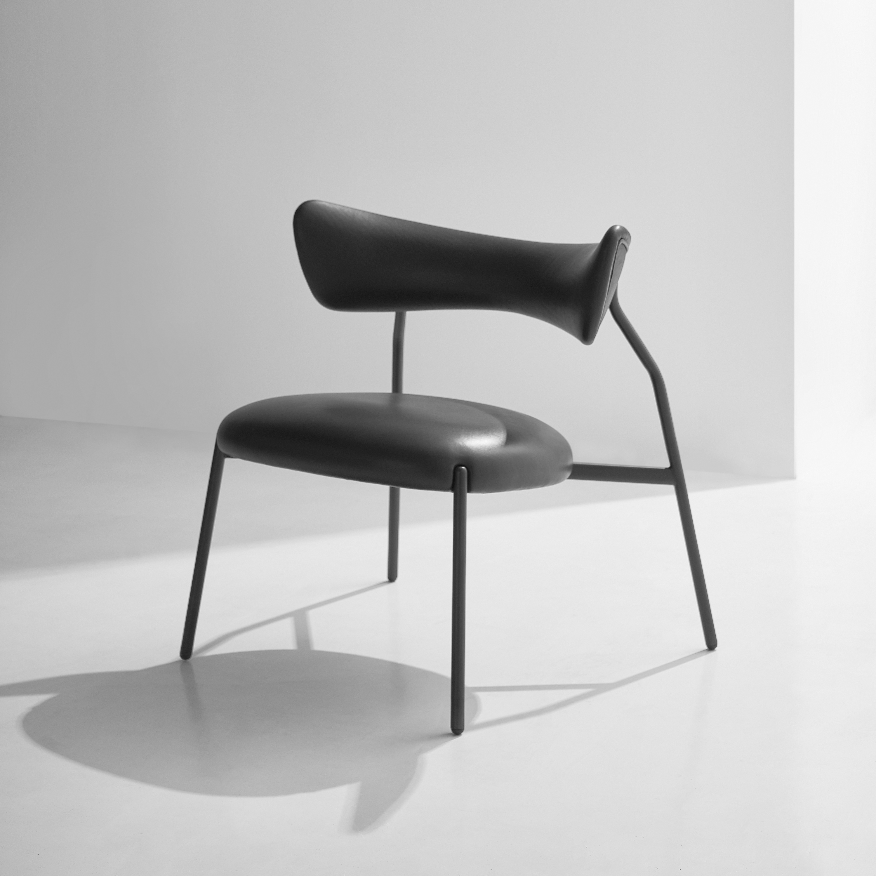 Display product Dragonfly Lounge Chair from manufacturer District Eight