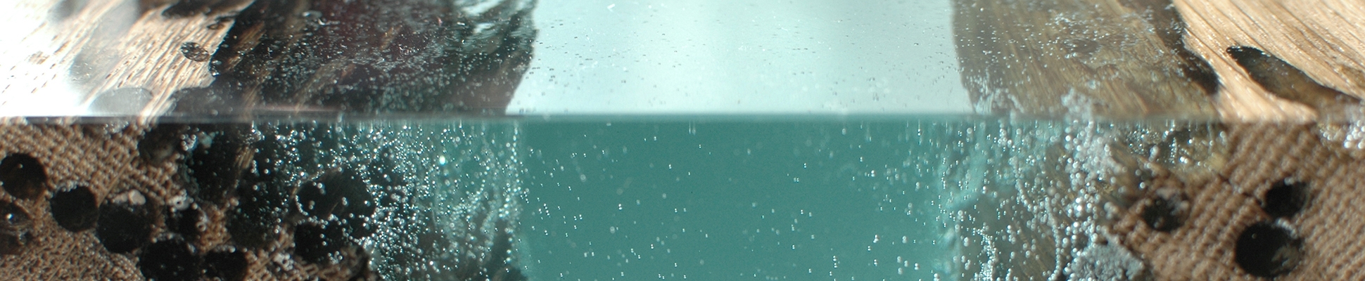 Entdecke die Welt des Herstellers Alcarol