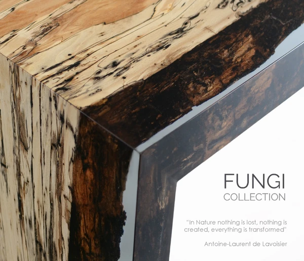 Preview image for the file Fungi Collection