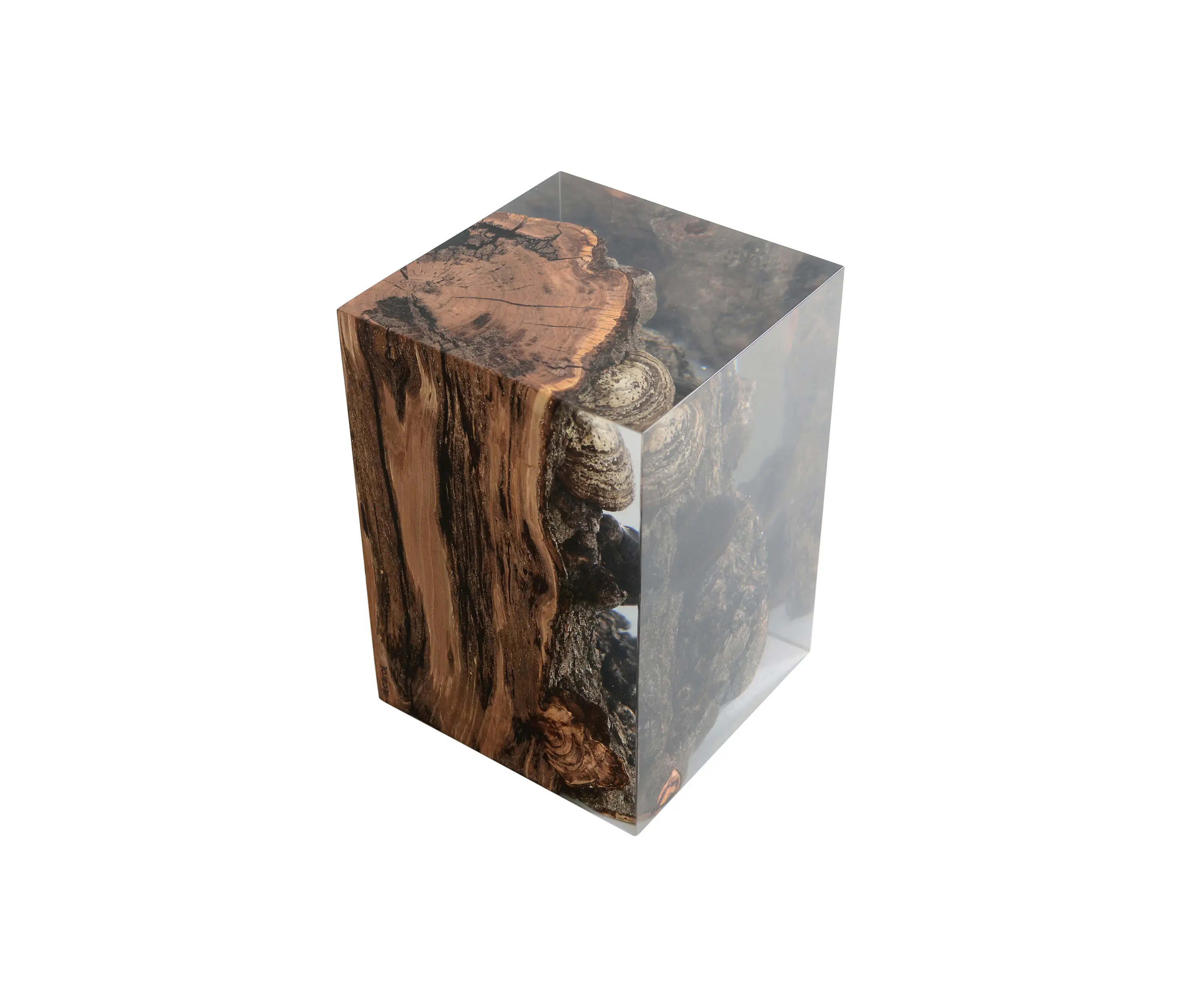 Alcarol - Fungi | Stool Apple