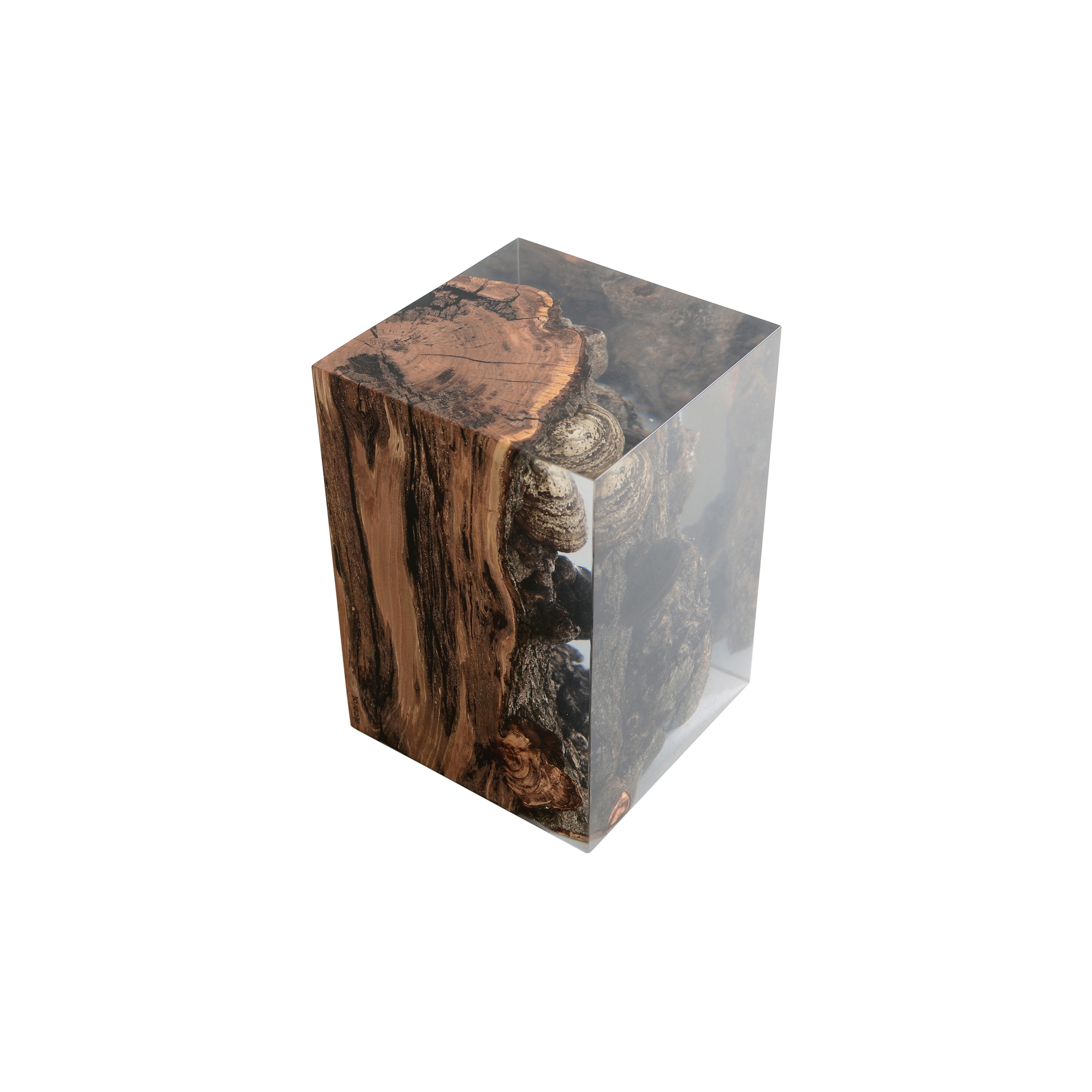 Mostra il prodotto Fungi | Stool Apple del produttore Alcarol