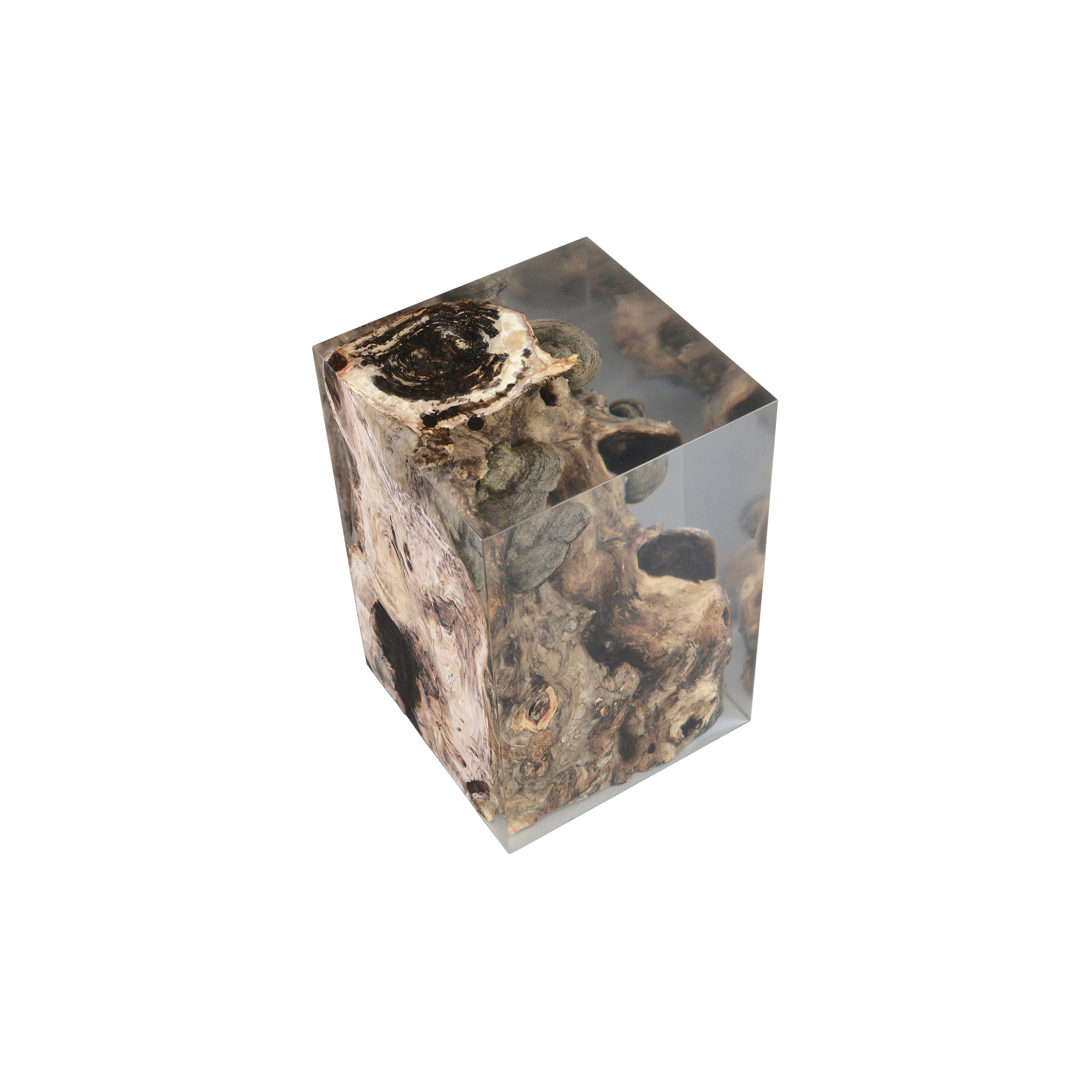 Mostra il prodotto Fungi | Stool Poplar del produttore Alcarol