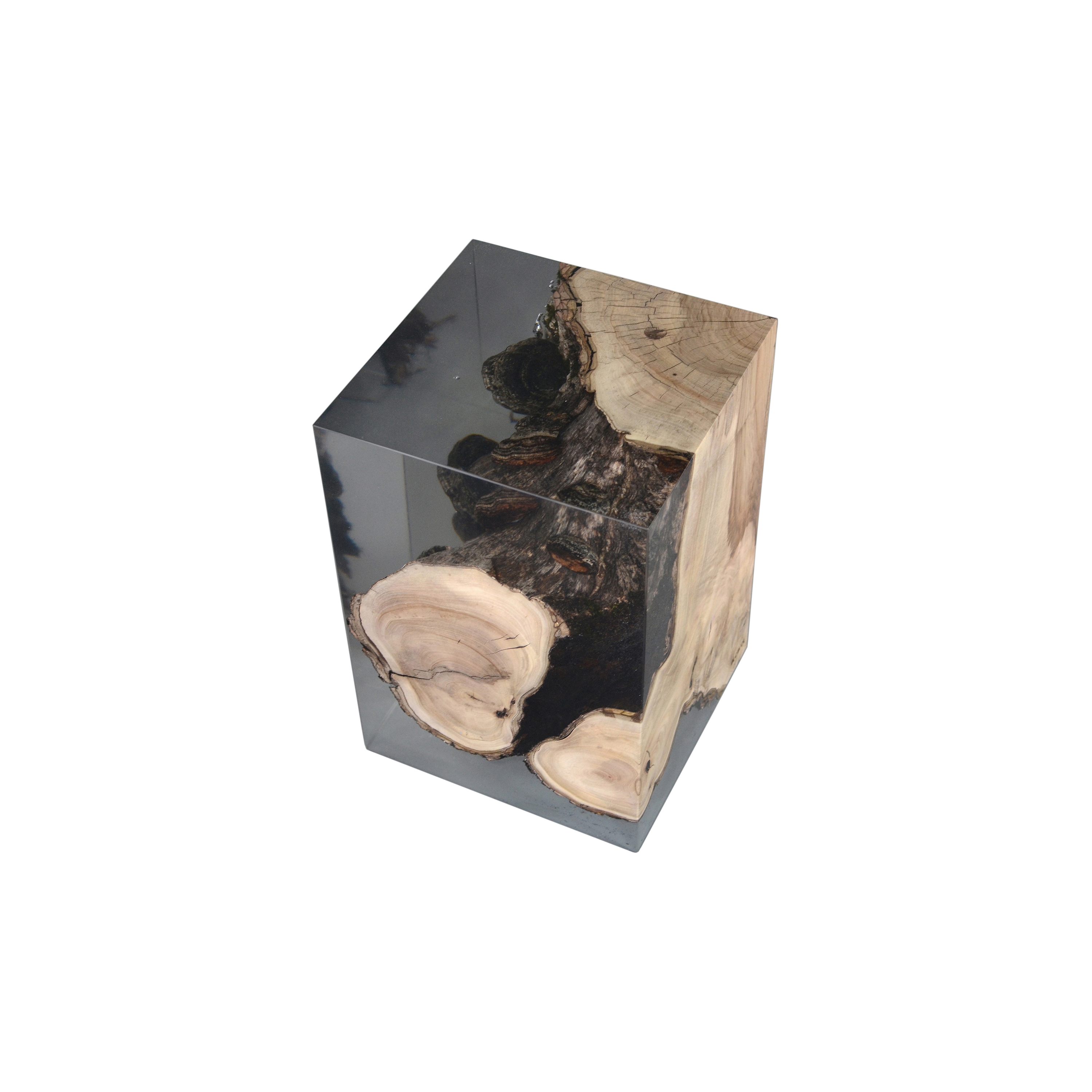 Mostra il prodotto Fungi | Stool Walnut del produttore Alcarol