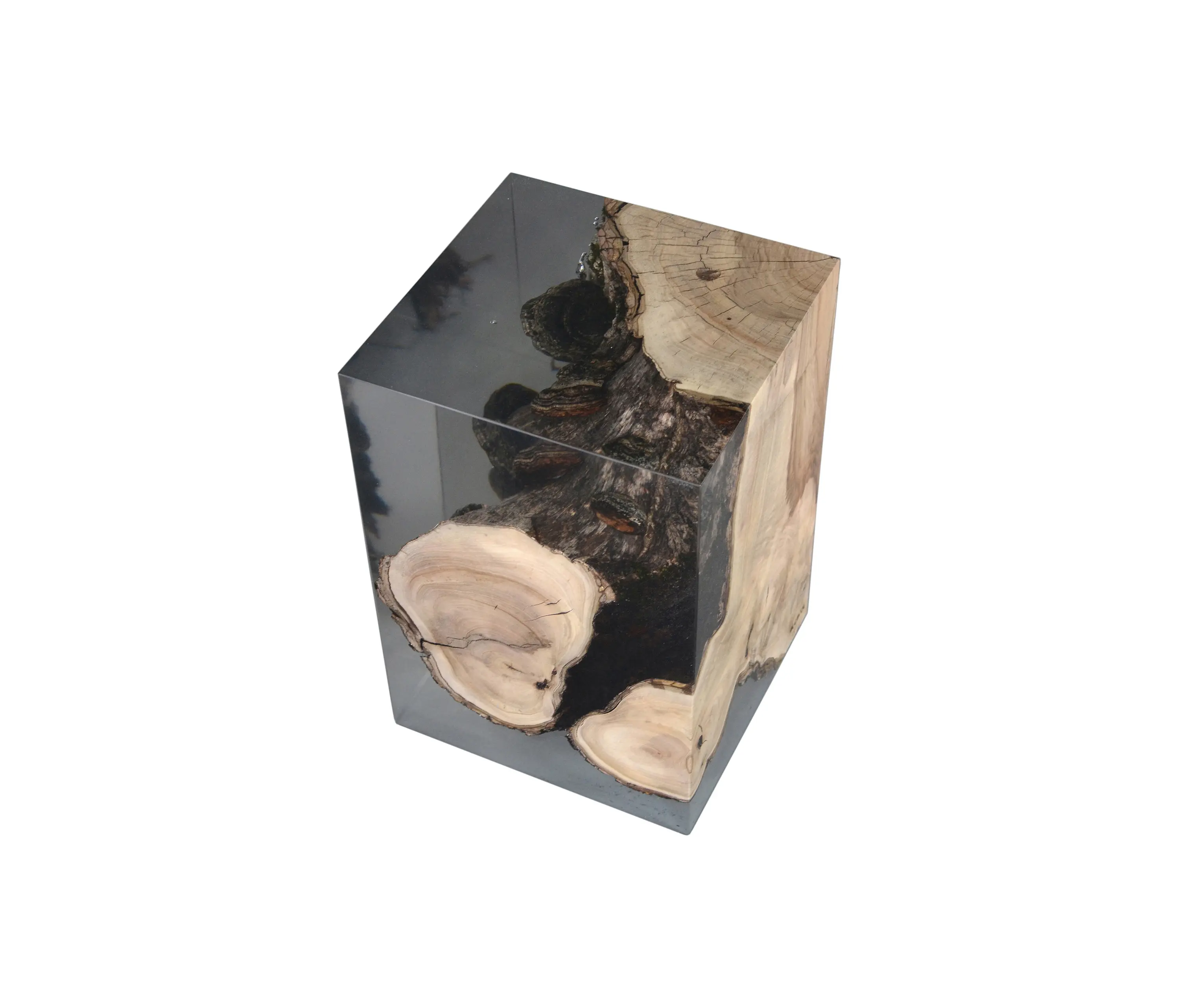 Alcarol - Fungi | Stool Walnut