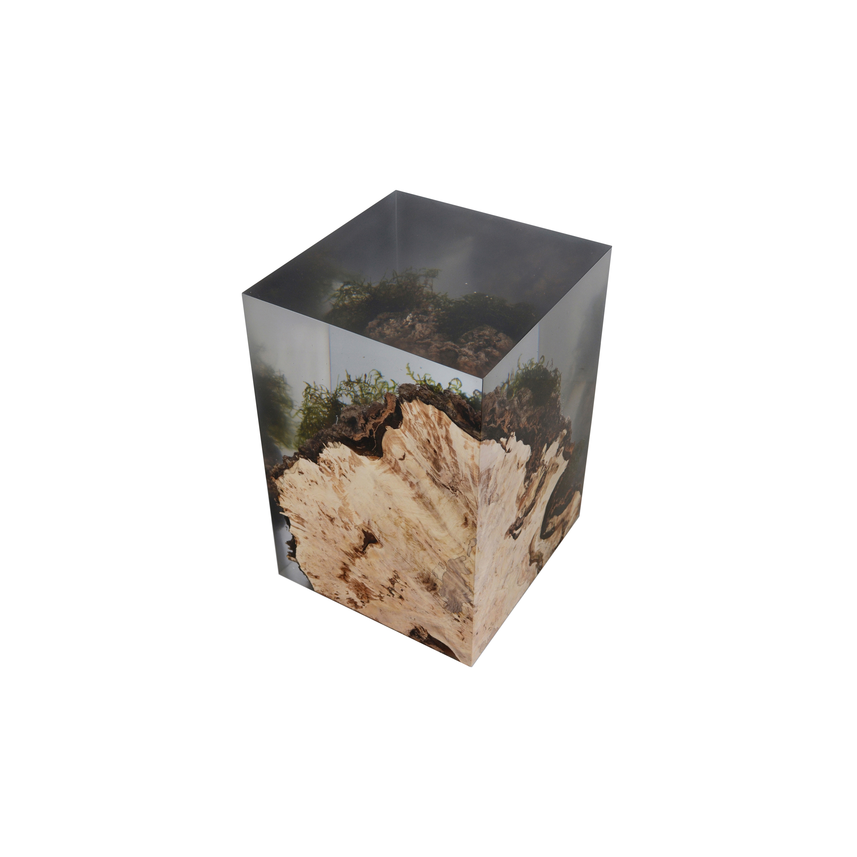 Mostra il prodotto Undergrowth | Stump Stool del produttore Alcarol
