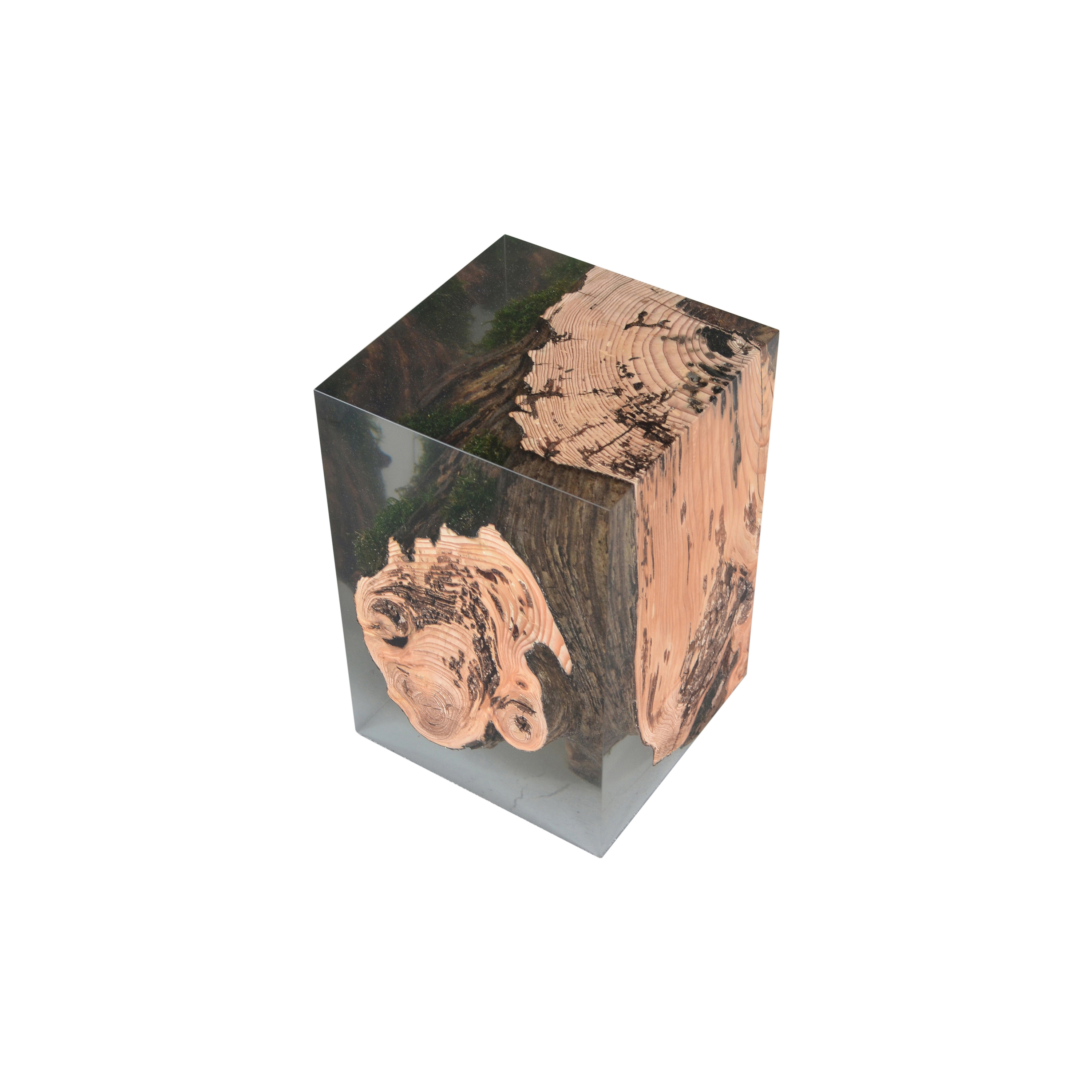 Mostra il prodotto Undergrowth | Stump Stool Larch del produttore Alcarol