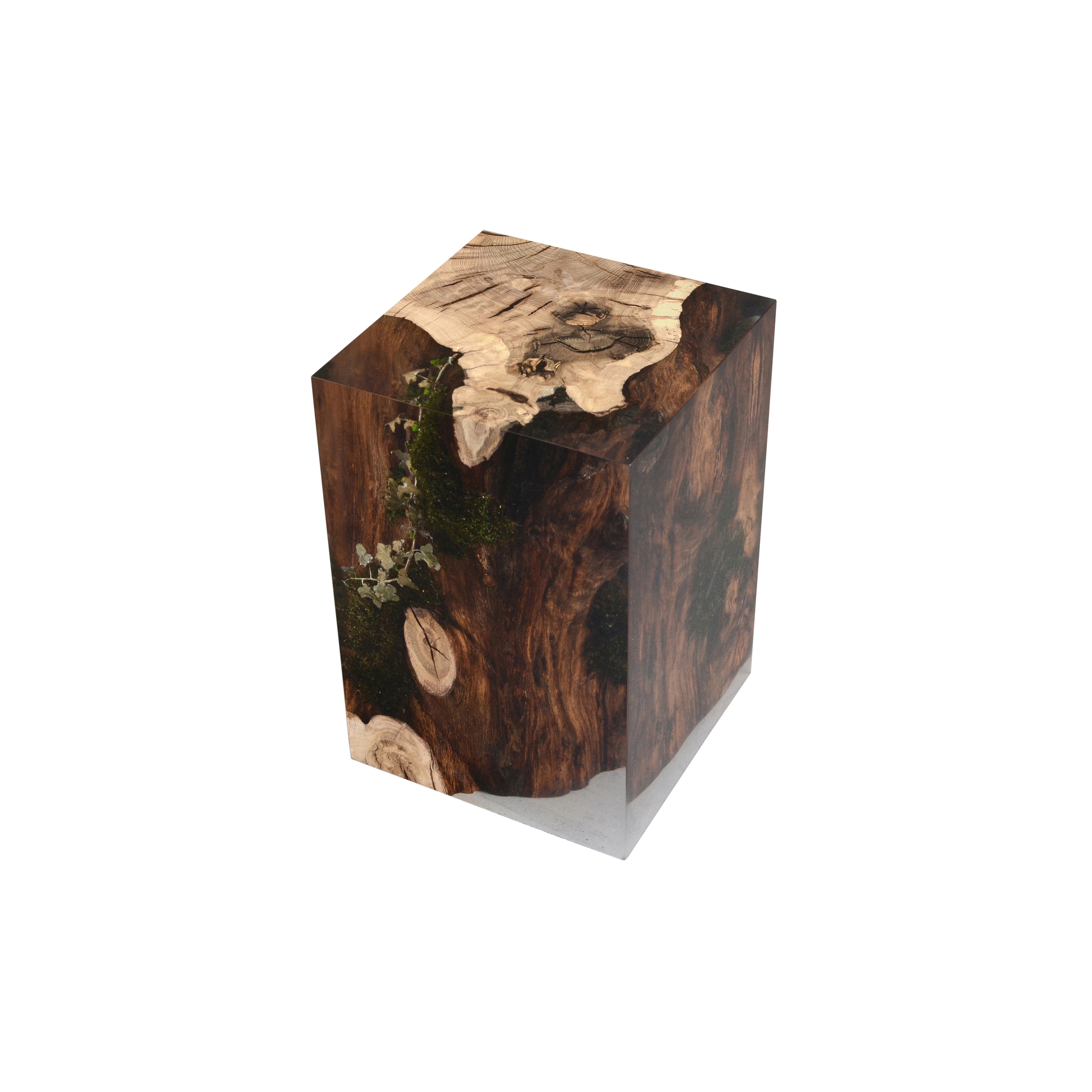 Mostra il prodotto Undergrowth | Stump Stool Oak del produttore Alcarol