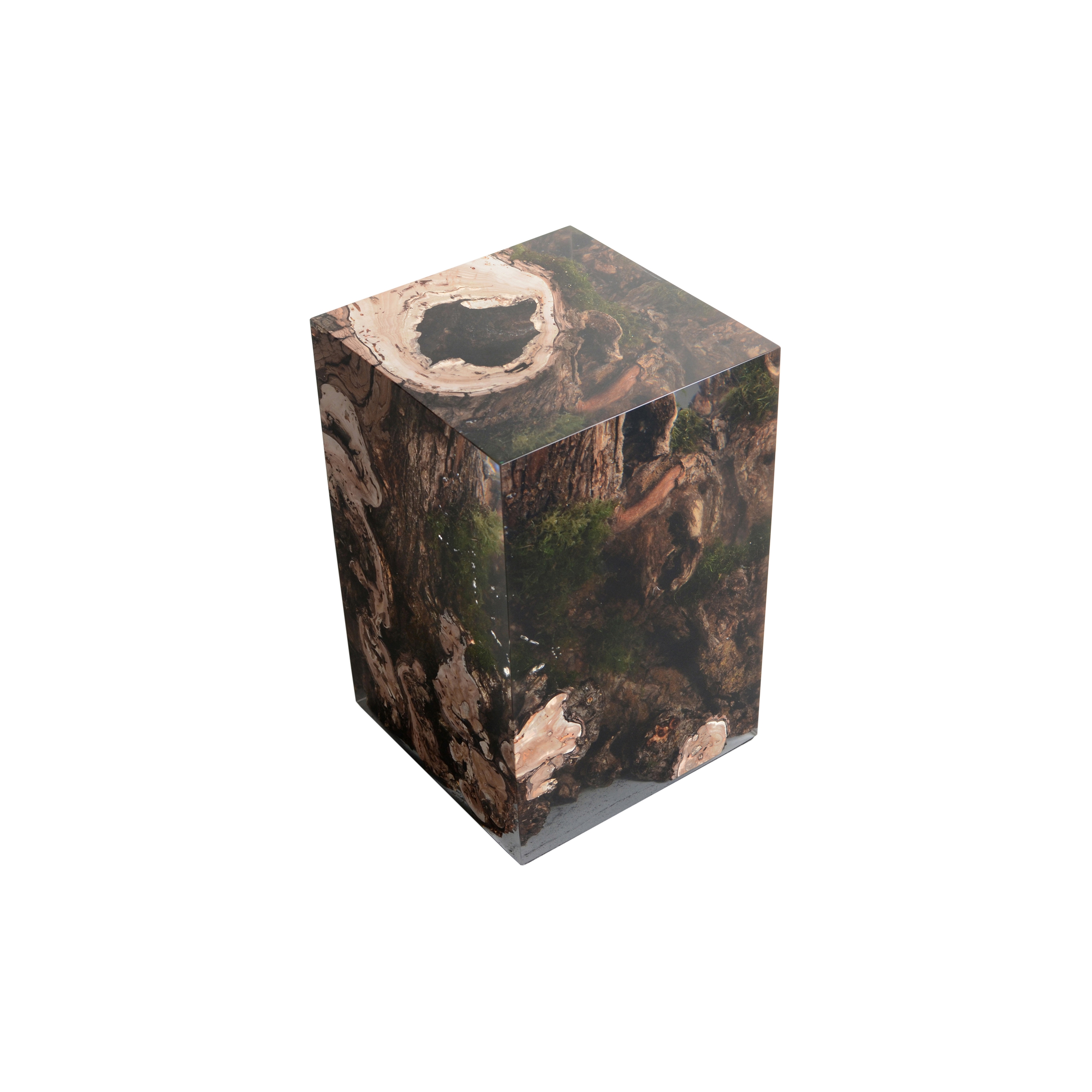 Mostra il prodotto Undergrowth | Stump Stool Willow del produttore Alcarol