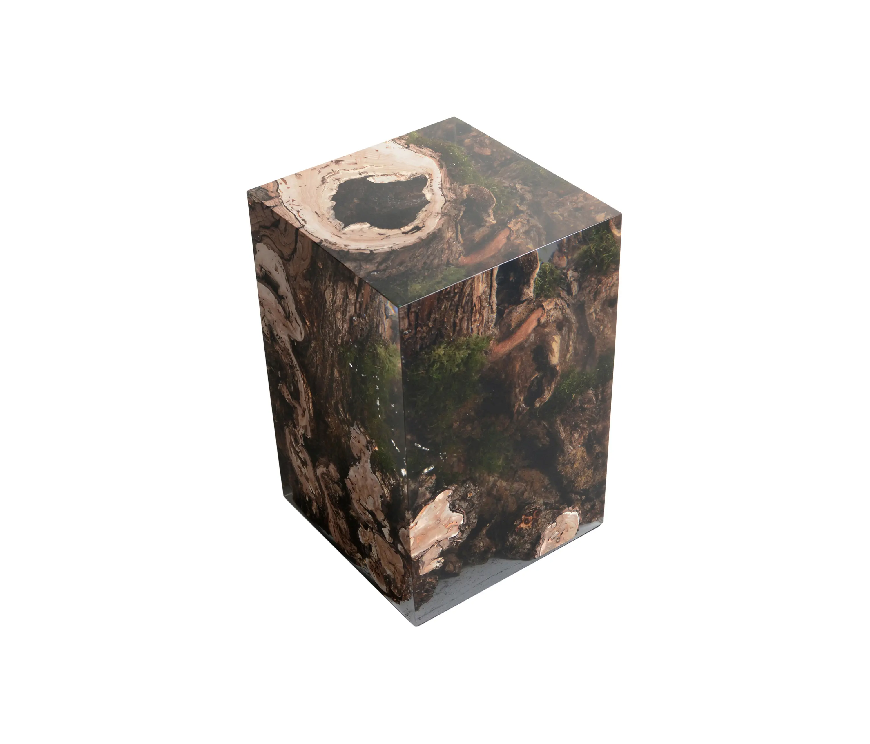 Alcarol - Undergrowth | Stump Stool Willow
