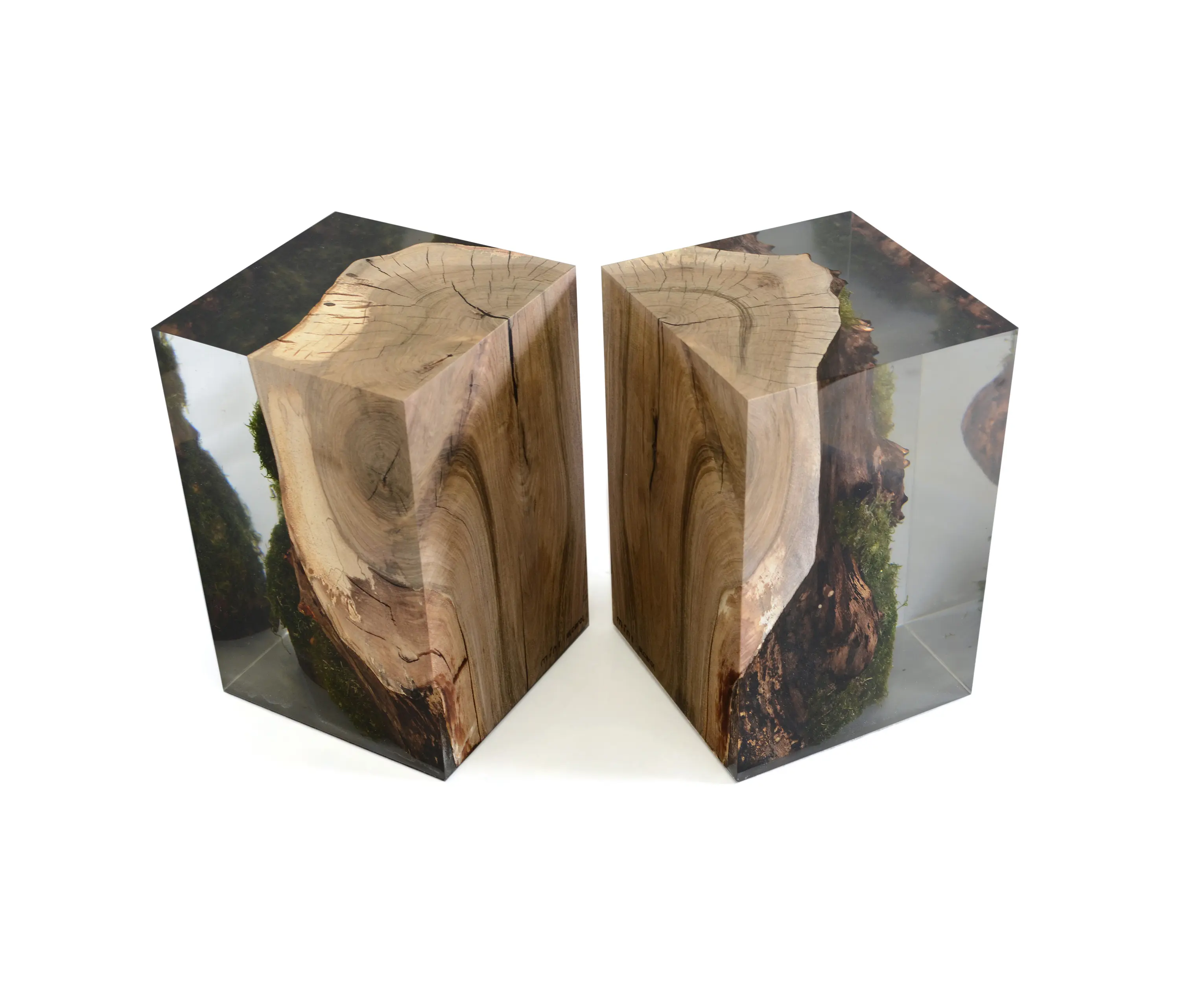 Alcarol - Undergrowth | Stump Stool Walnut