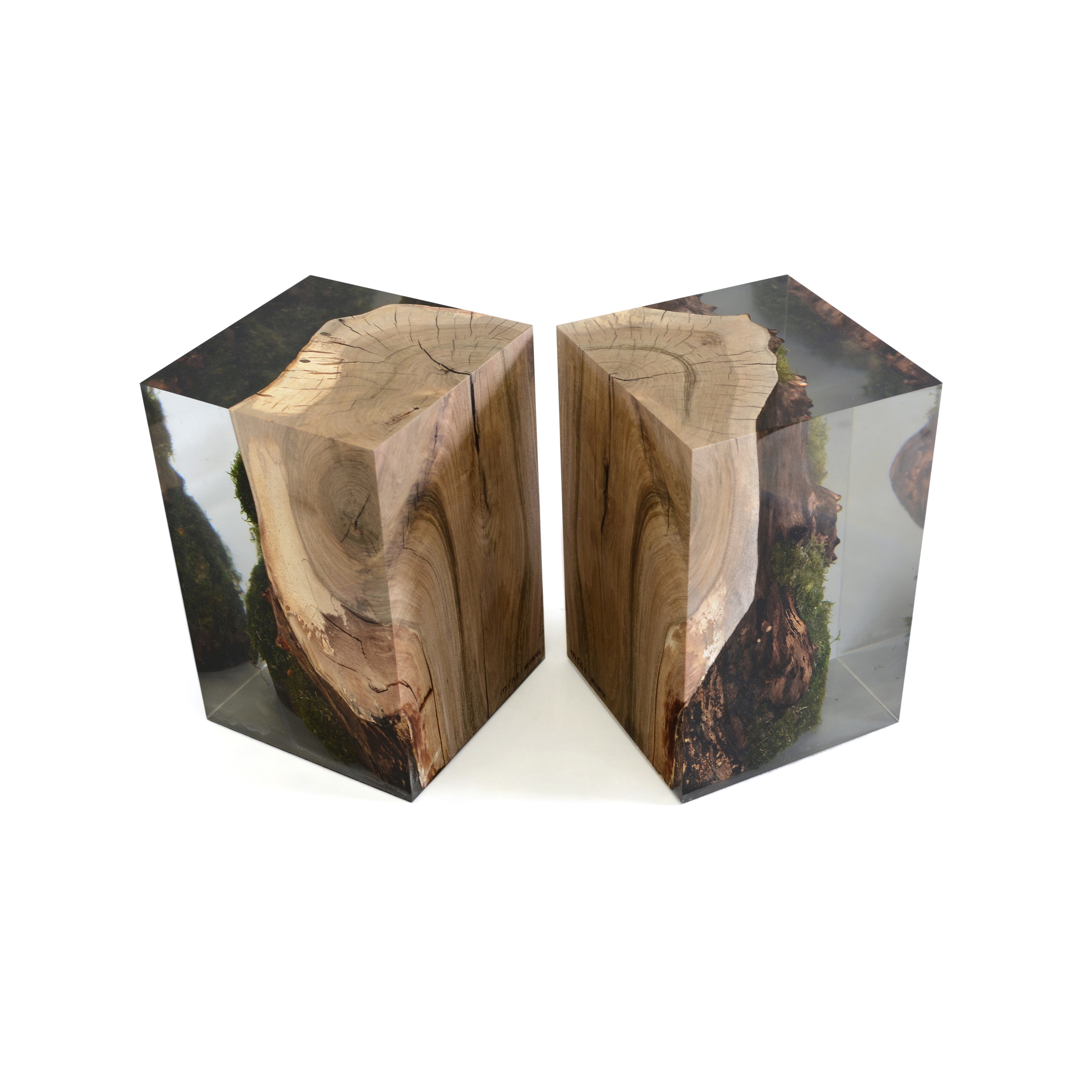 Mostra il prodotto Undergrowth | Stump Stool Walnut del produttore Alcarol
