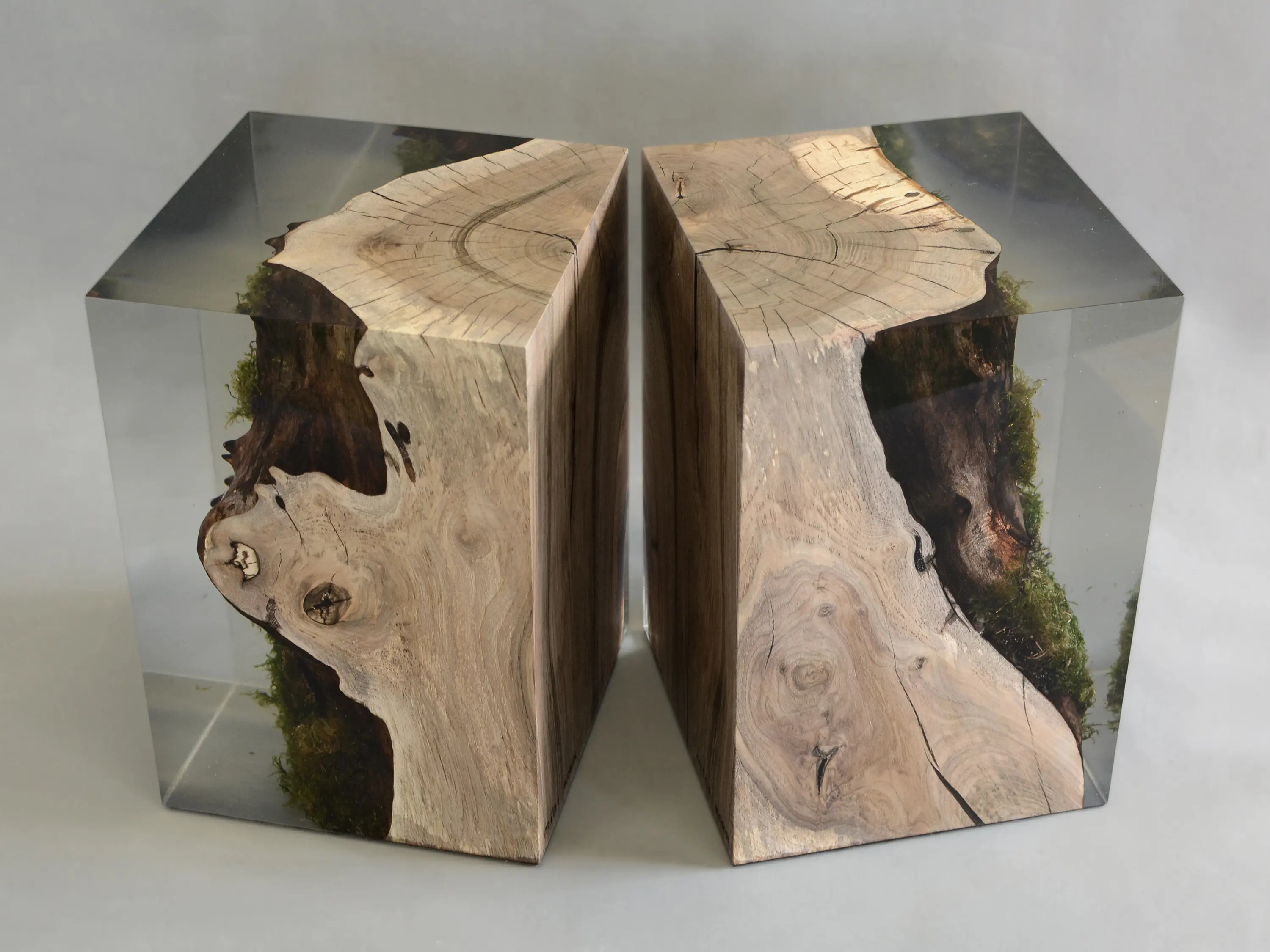 Alcarol - Undergrowth | Stump Stool Walnut