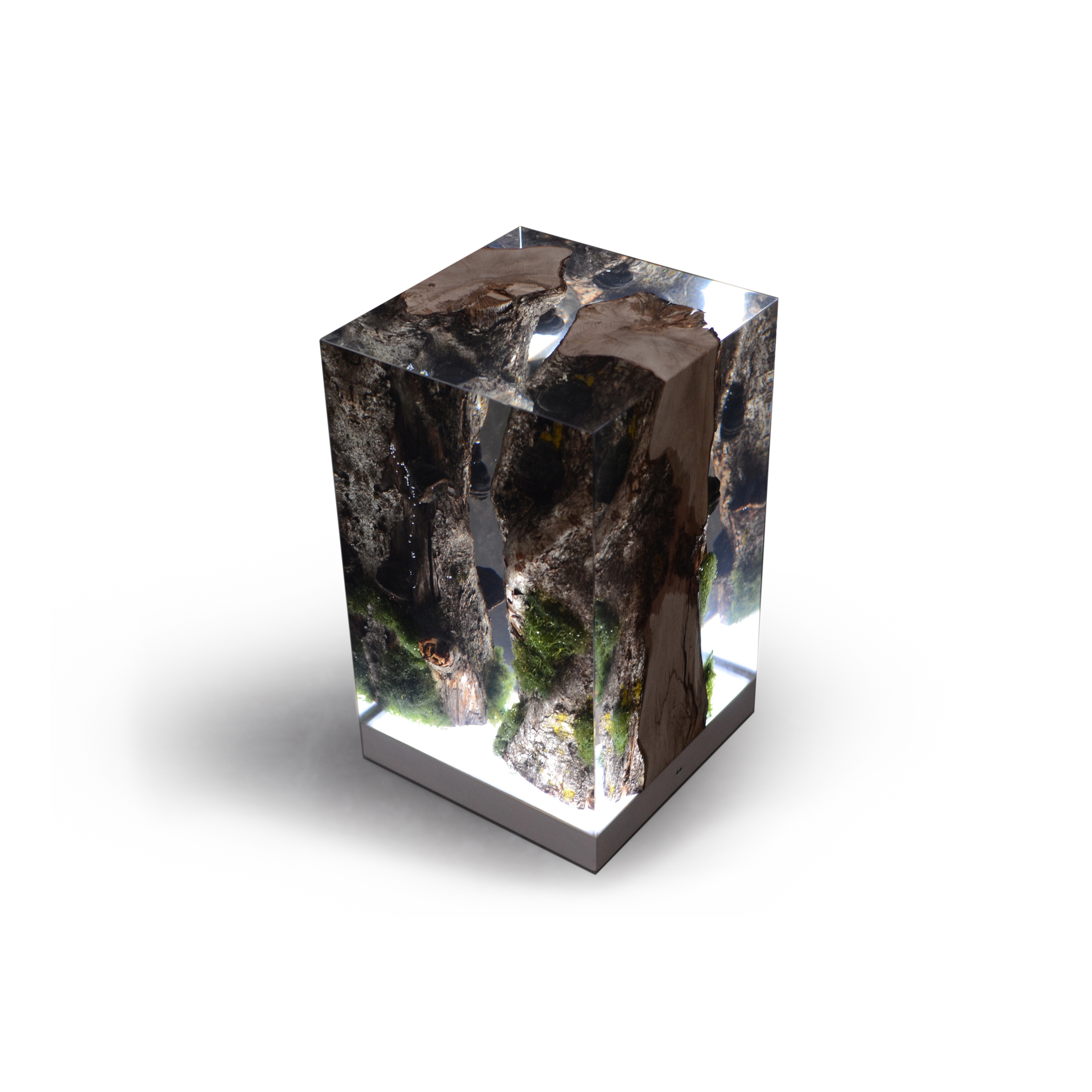 Mostra il prodotto Undergrowth | Moss Lamp del produttore Alcarol