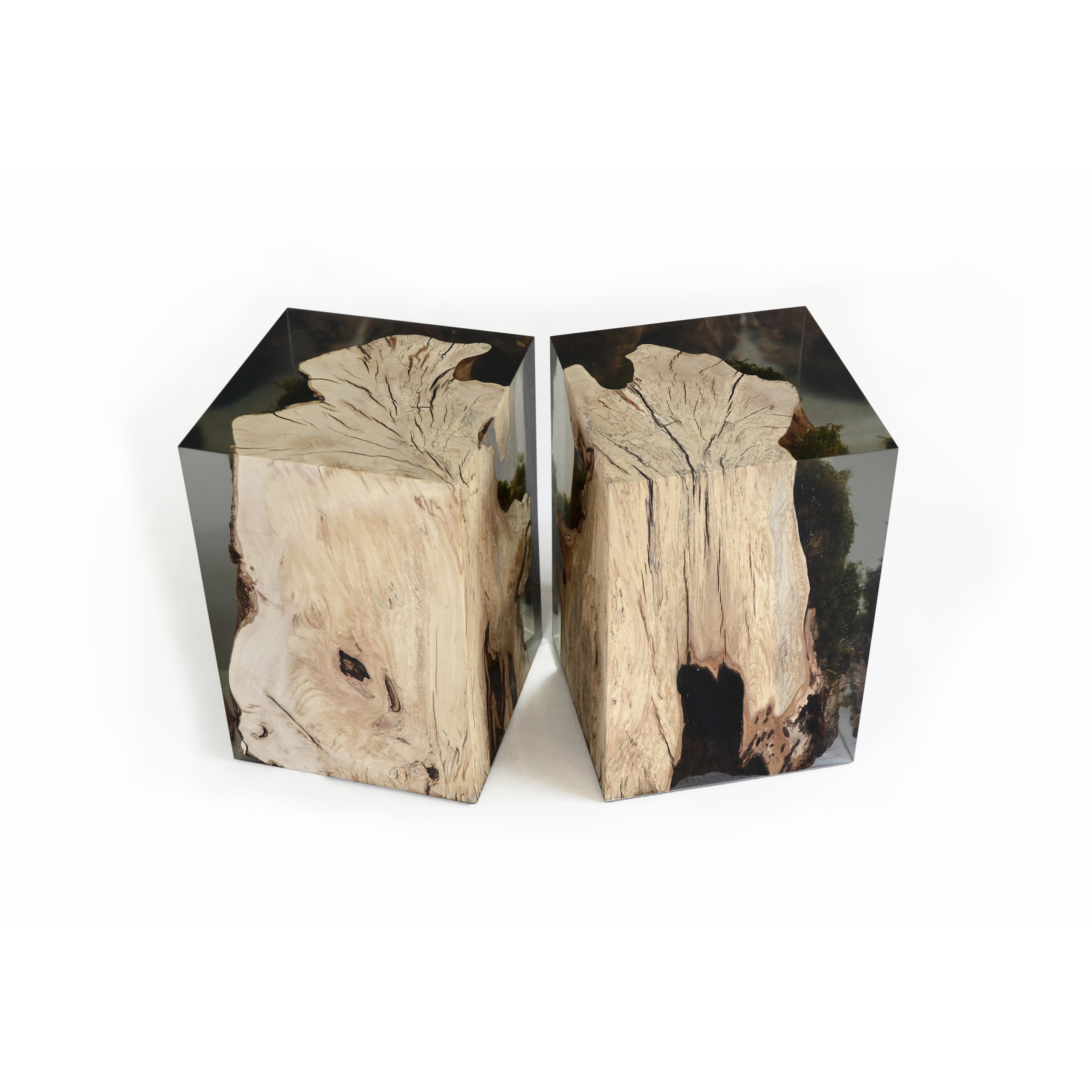 Display product Undergrowth | Stump Stool Hornbeam from manufacturer Alcarol