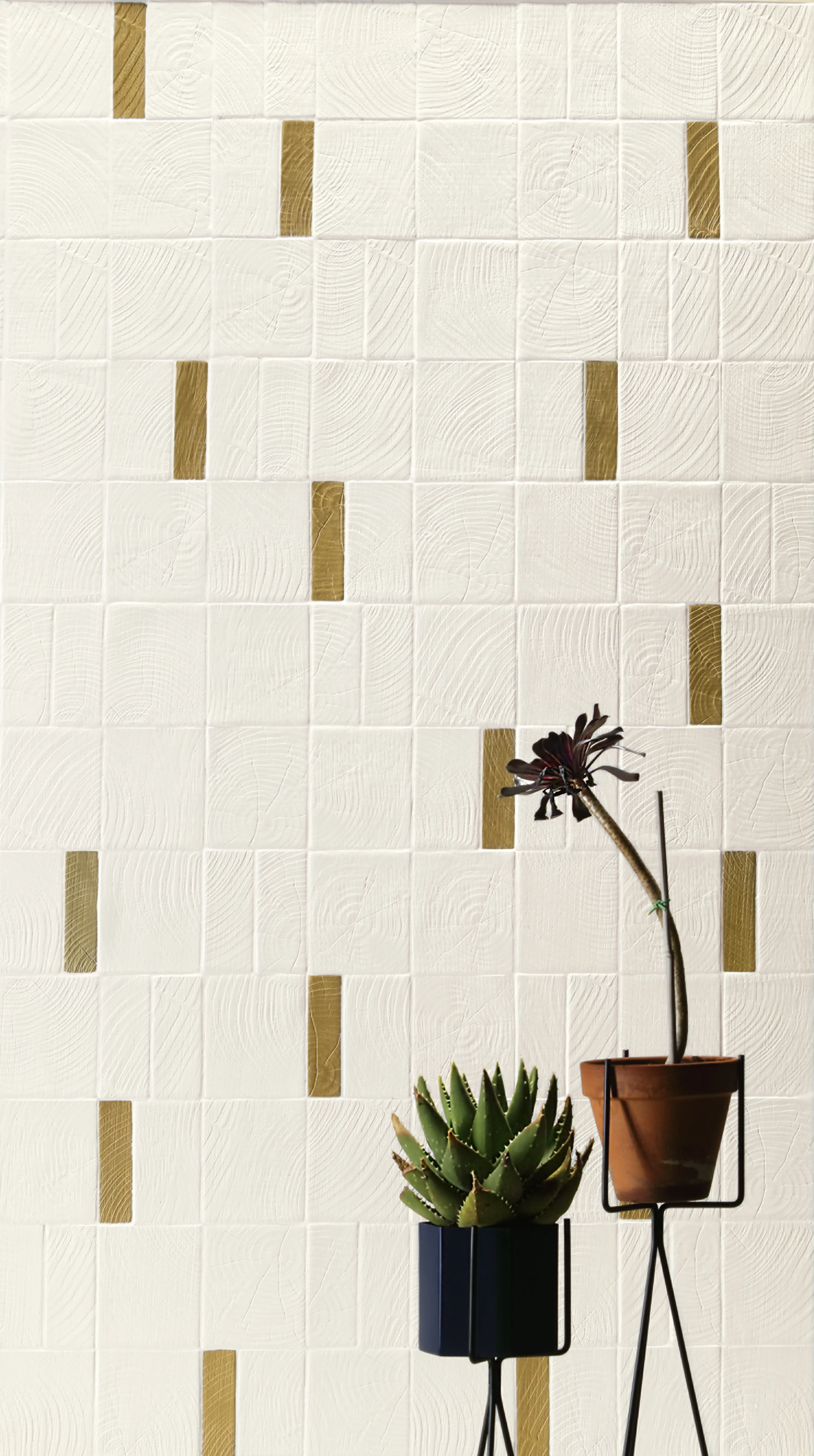 41zero42 - Loop | White