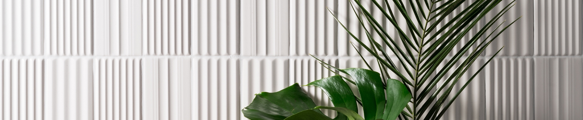 Descubrir el mundo del fabricante 41zero42