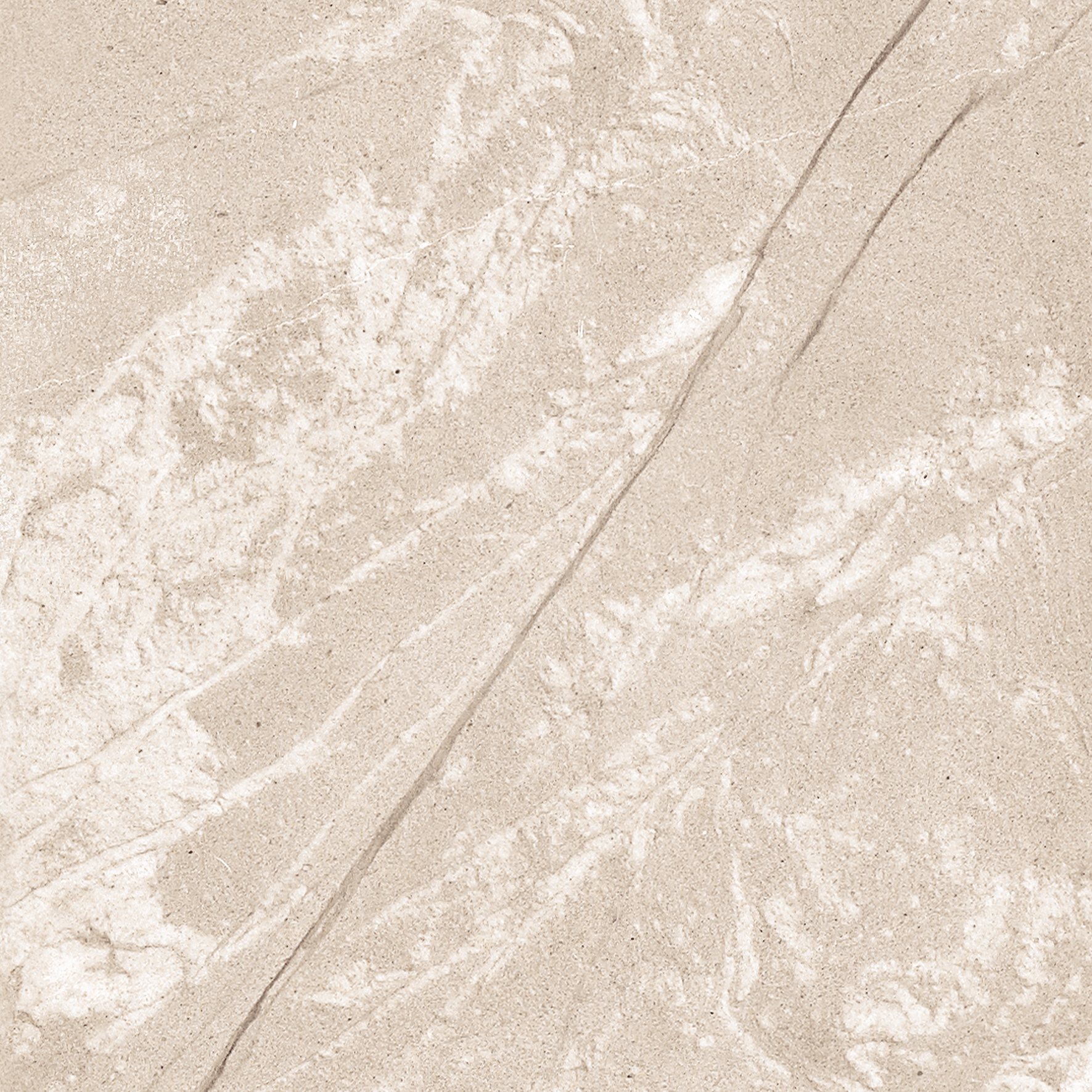 Afficher le produit Burlington Sand du fabricant 41zero42