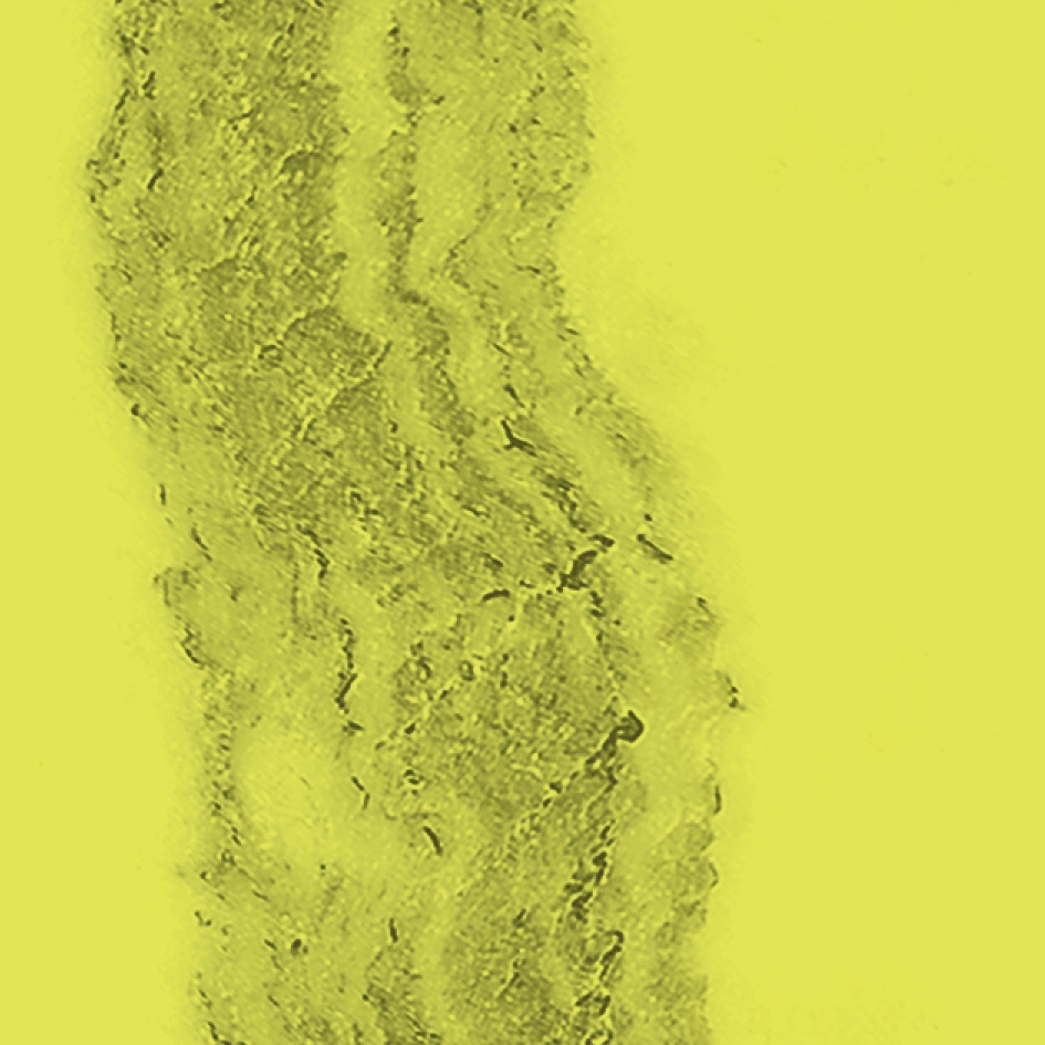 Afficher le produit Open Luce Andre Lev. du fabricant 41zero42