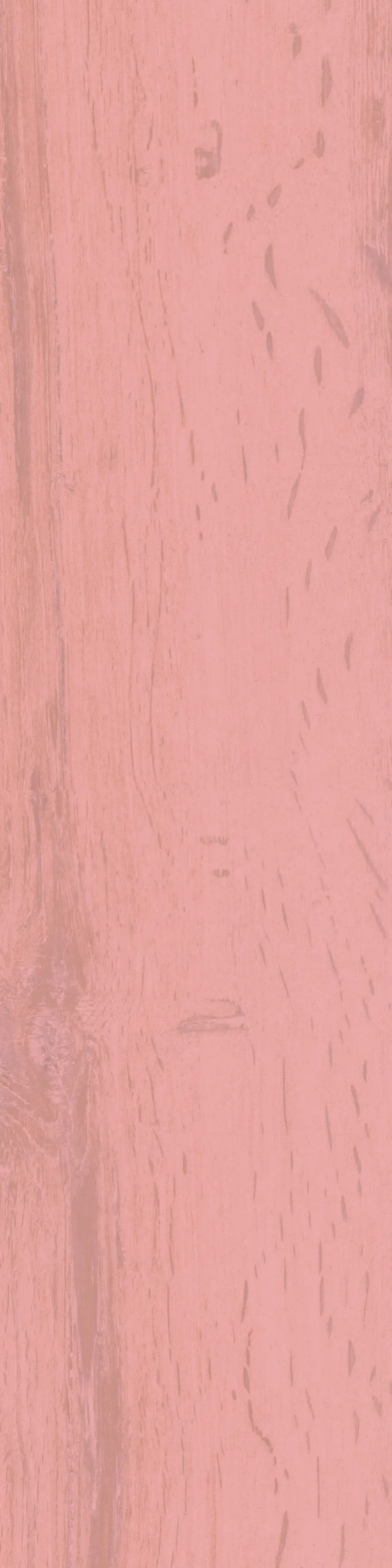41zero42 - U-COLOR 23