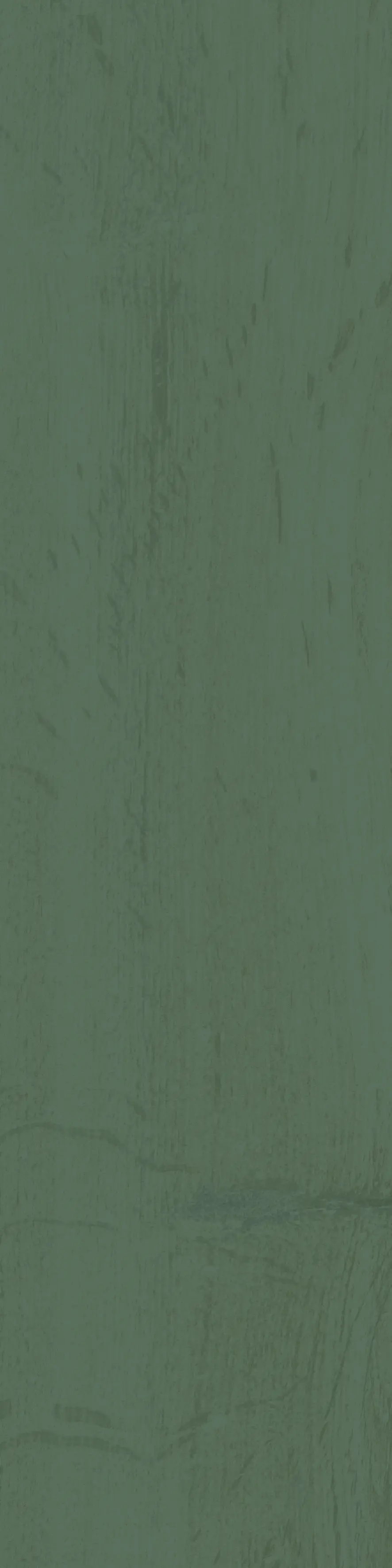 41zero42 - U-COLOR 49