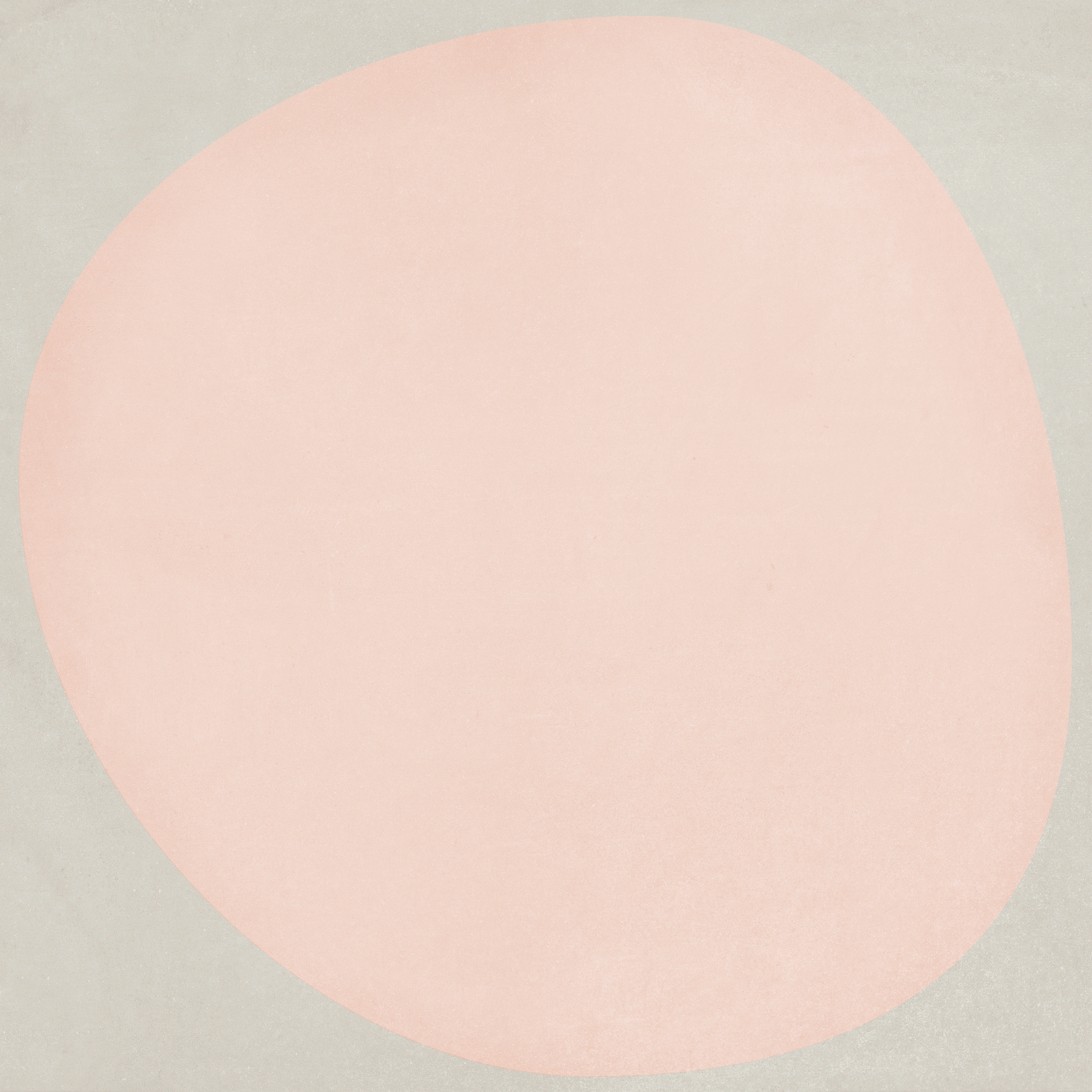 Futura | Drop Rose