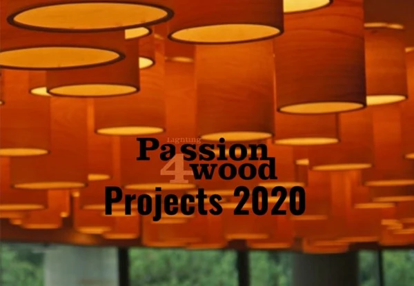 Preview image for the file Projects 2020 | | Lighting Passion 4 Wood