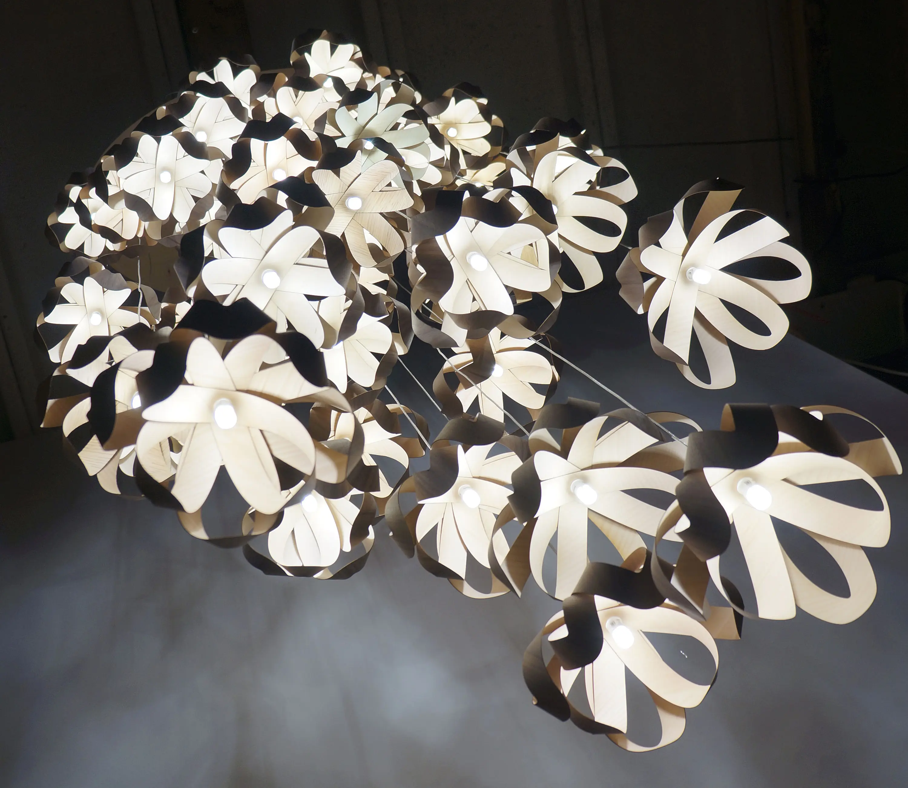 Passion 4 Wood - Lilly