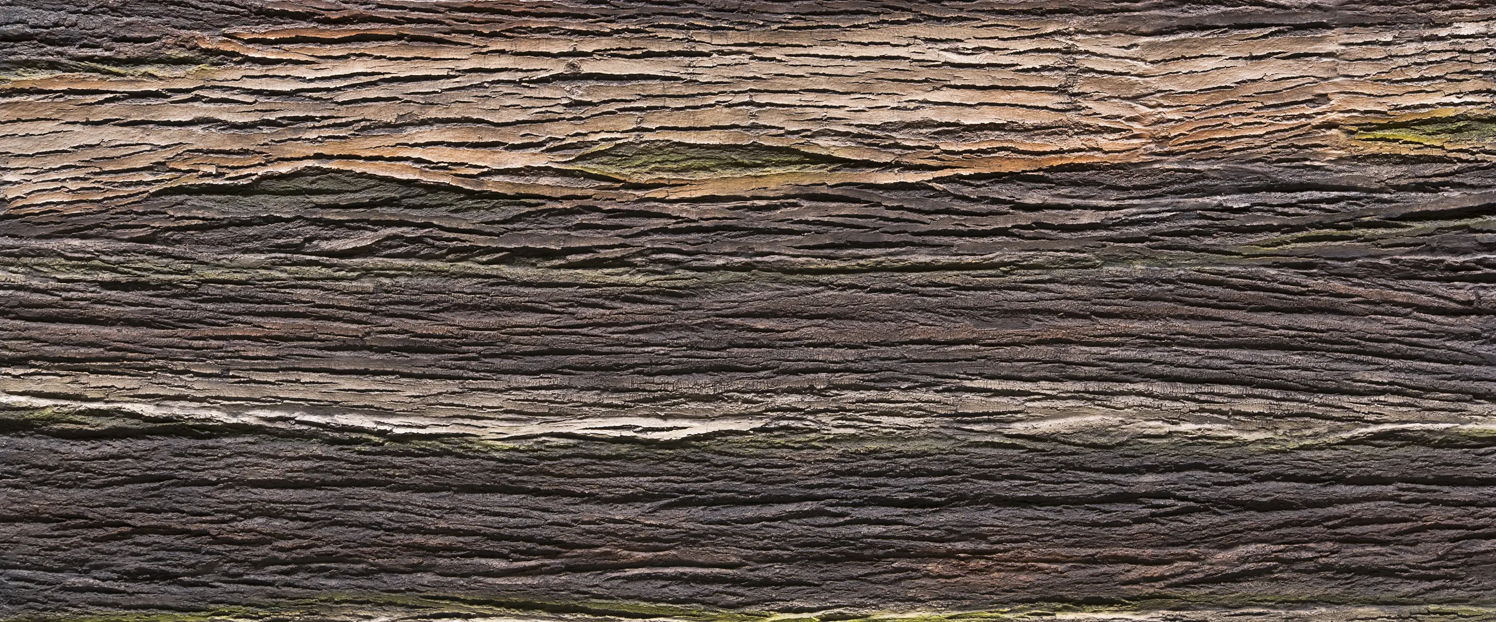 Artstone - Amazon Natura