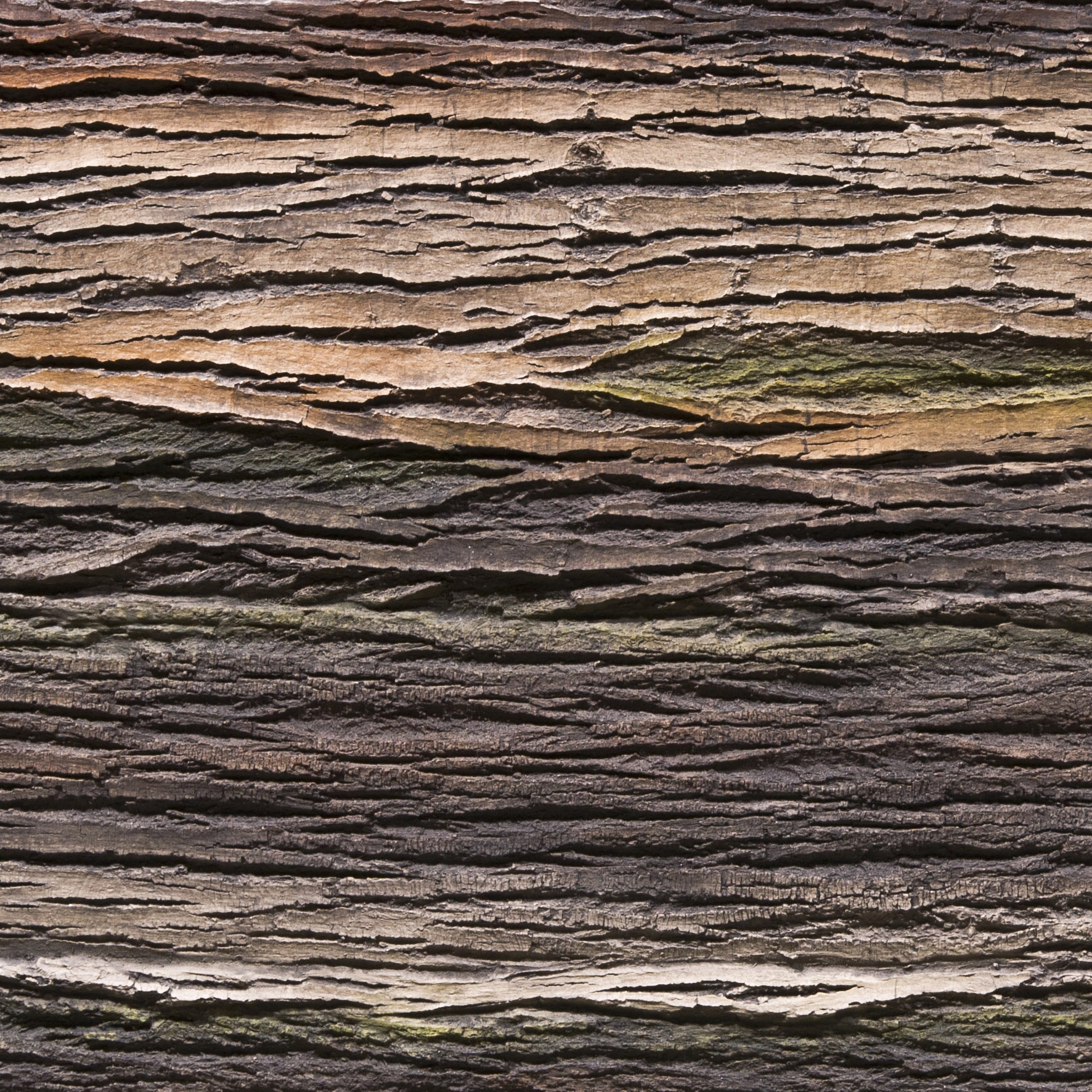 Amazon Natura