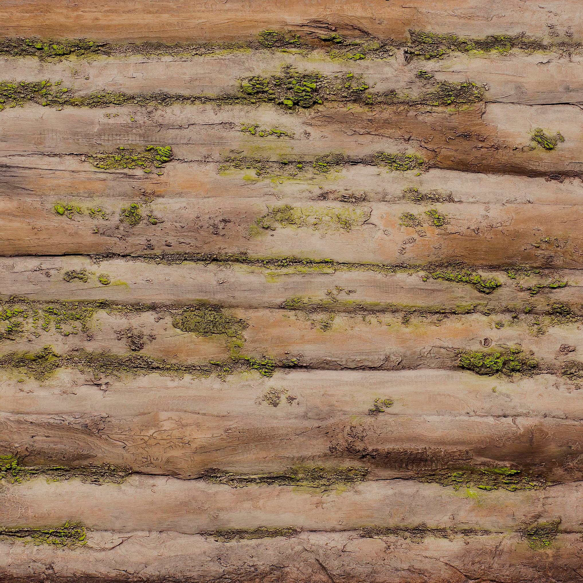 Display product Baobab Moss Natura from manufacturer Artstone
