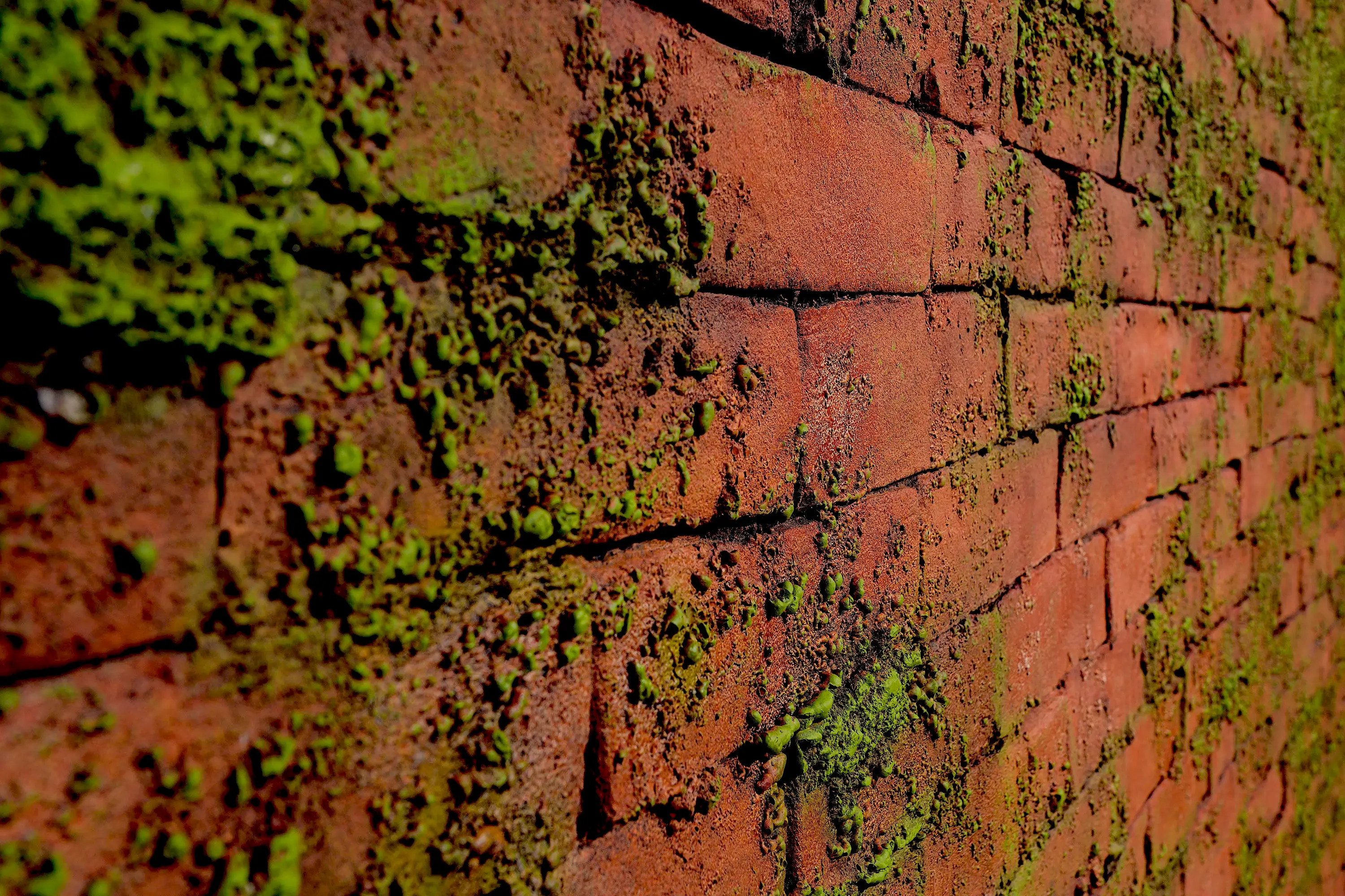 Artstone - Masonry Moss Rojo