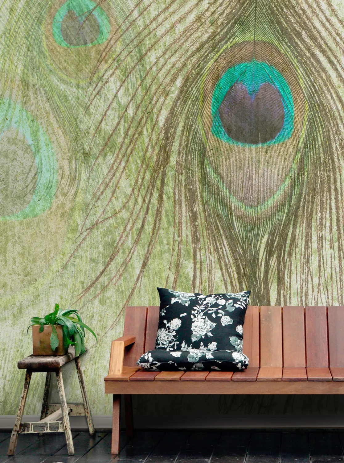 WallPepper - Peacock feathers